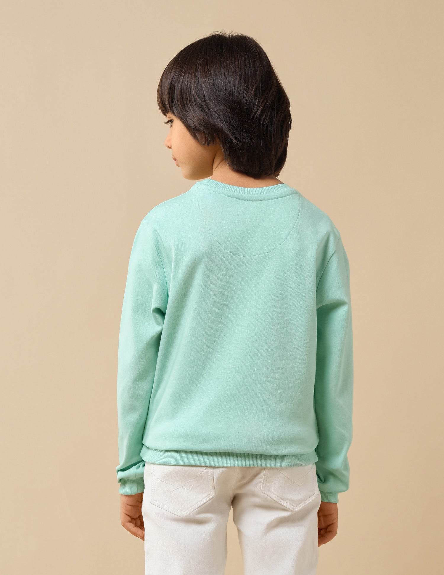 Boys Brand Embossed Regular Fit Sweatshirt Light Green - U.S. POLO ASSN. | Large