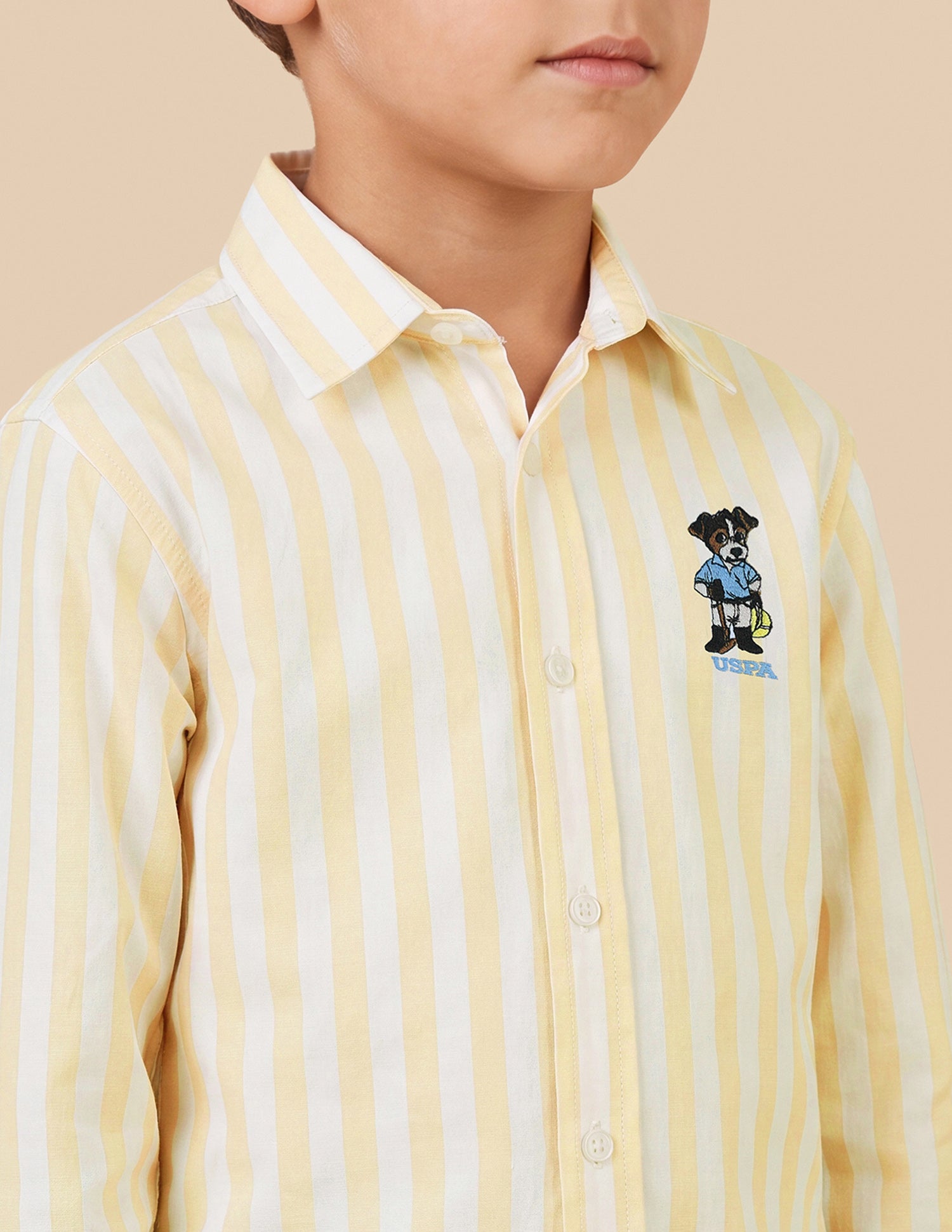 Vertical Striped Oxford Shirt Yellow - U.S. Polo Assn. India | Large