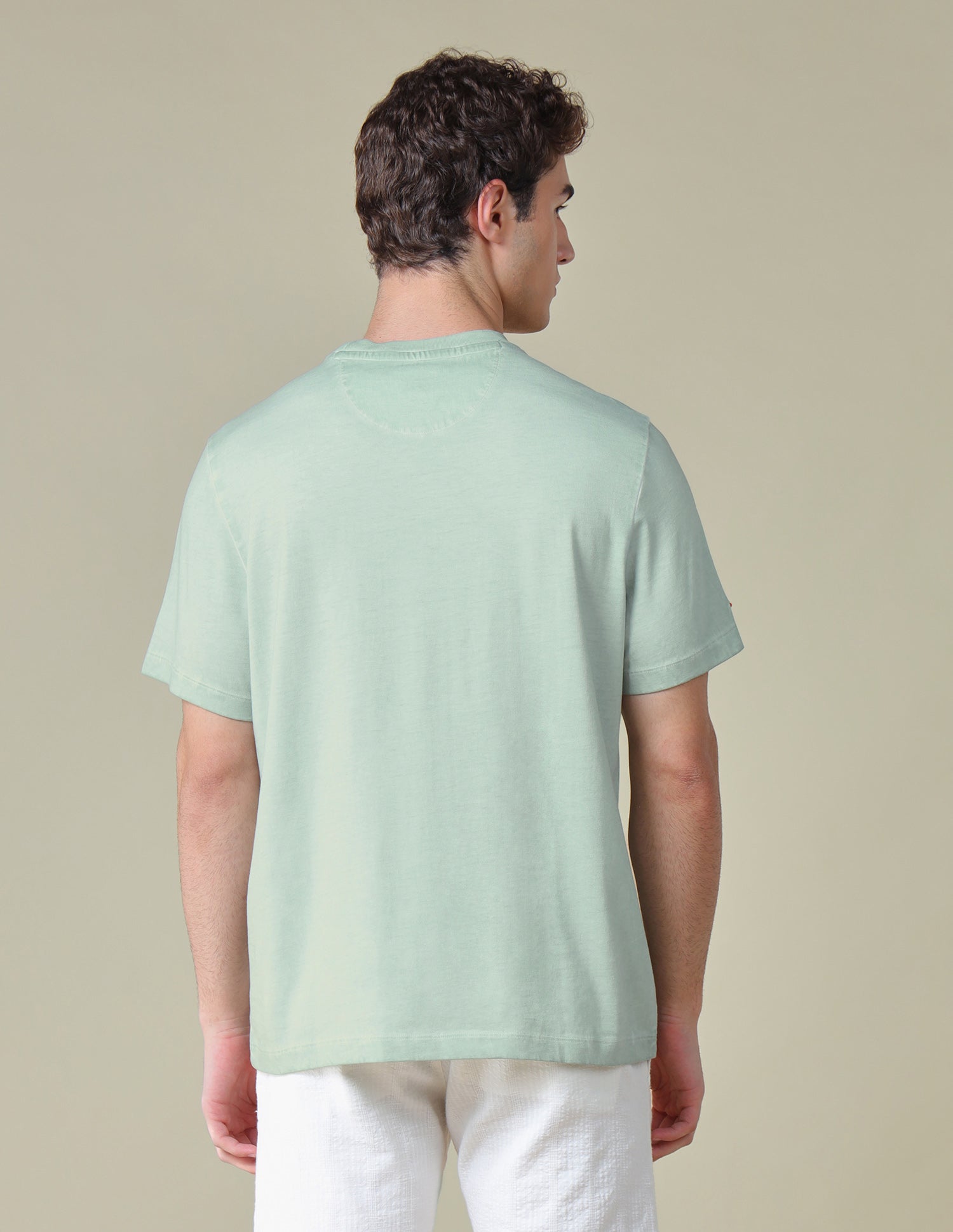 Graphic Brand Printed Relaxed Fit T-Shirt Green - U.S. Polo Assn. India | Large