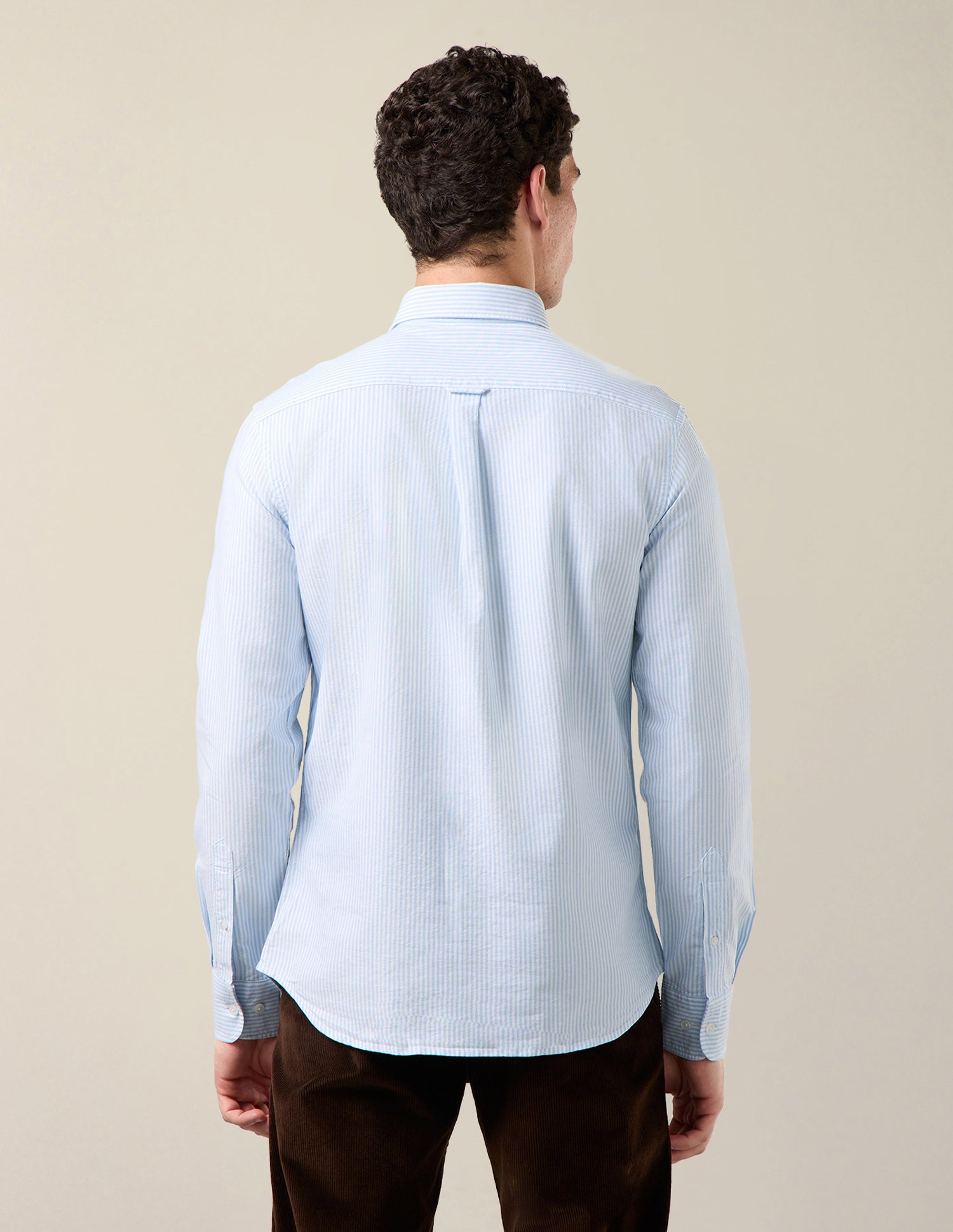 Vertical Striped Oxford Shirt Light Blue - U.S. Polo Assn. India | Large