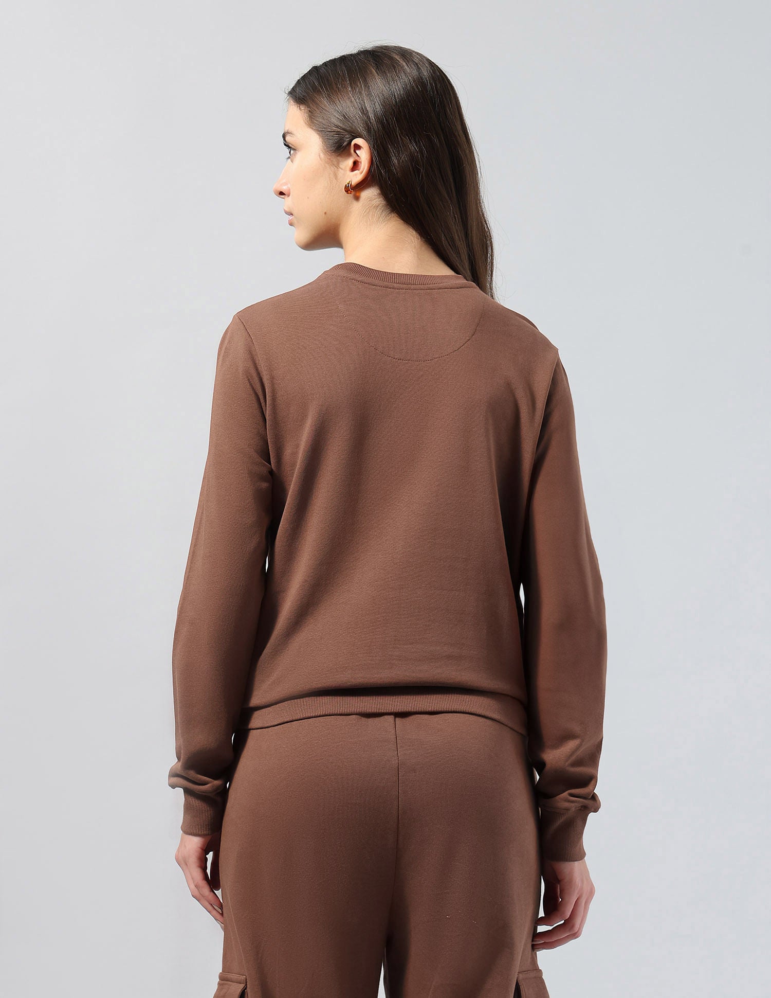 Solid Regular Fit Sweatshirt Brown - U.S. POLO ASSN. | Large