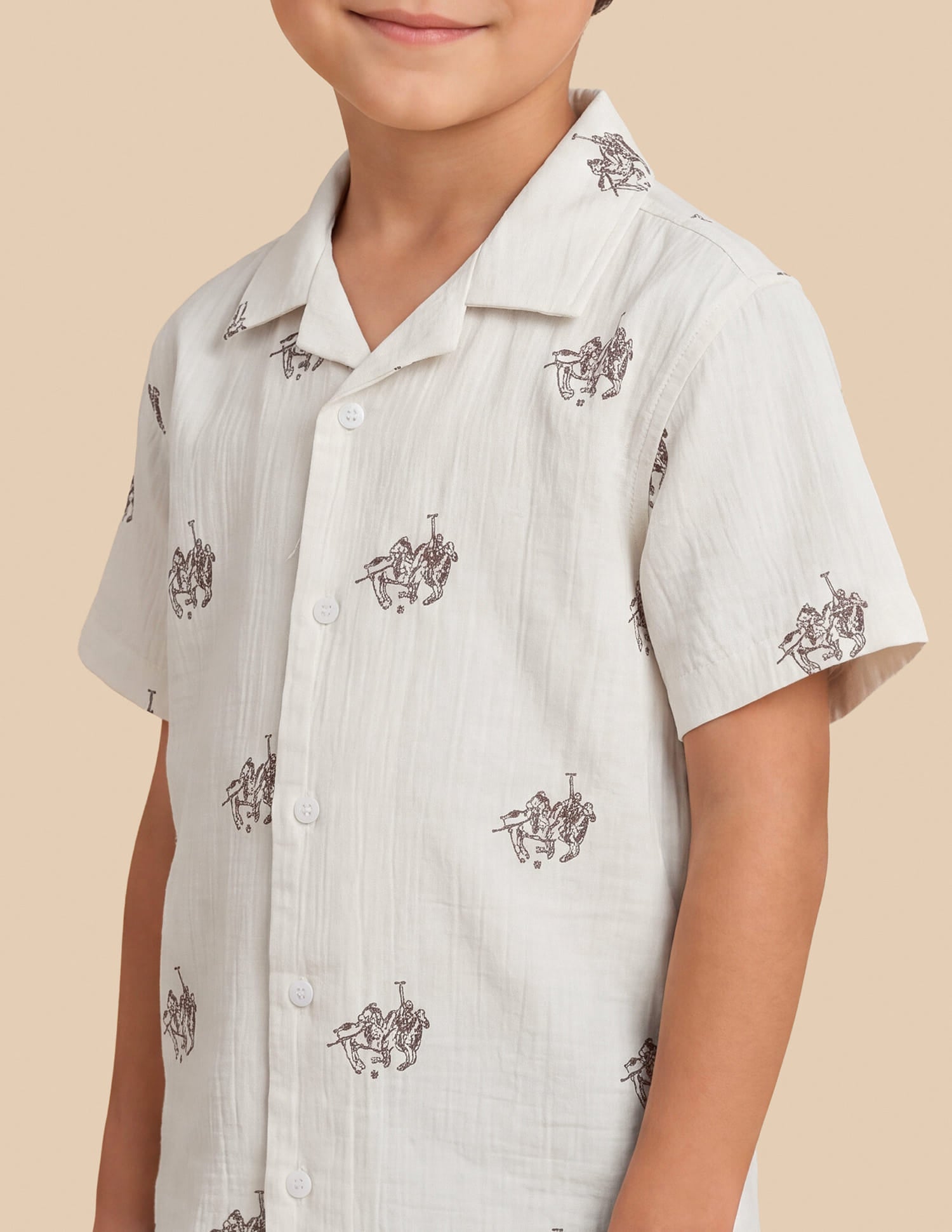 Embroidered Regular Fit Shirt White - U.S. Polo Assn. India | Large
