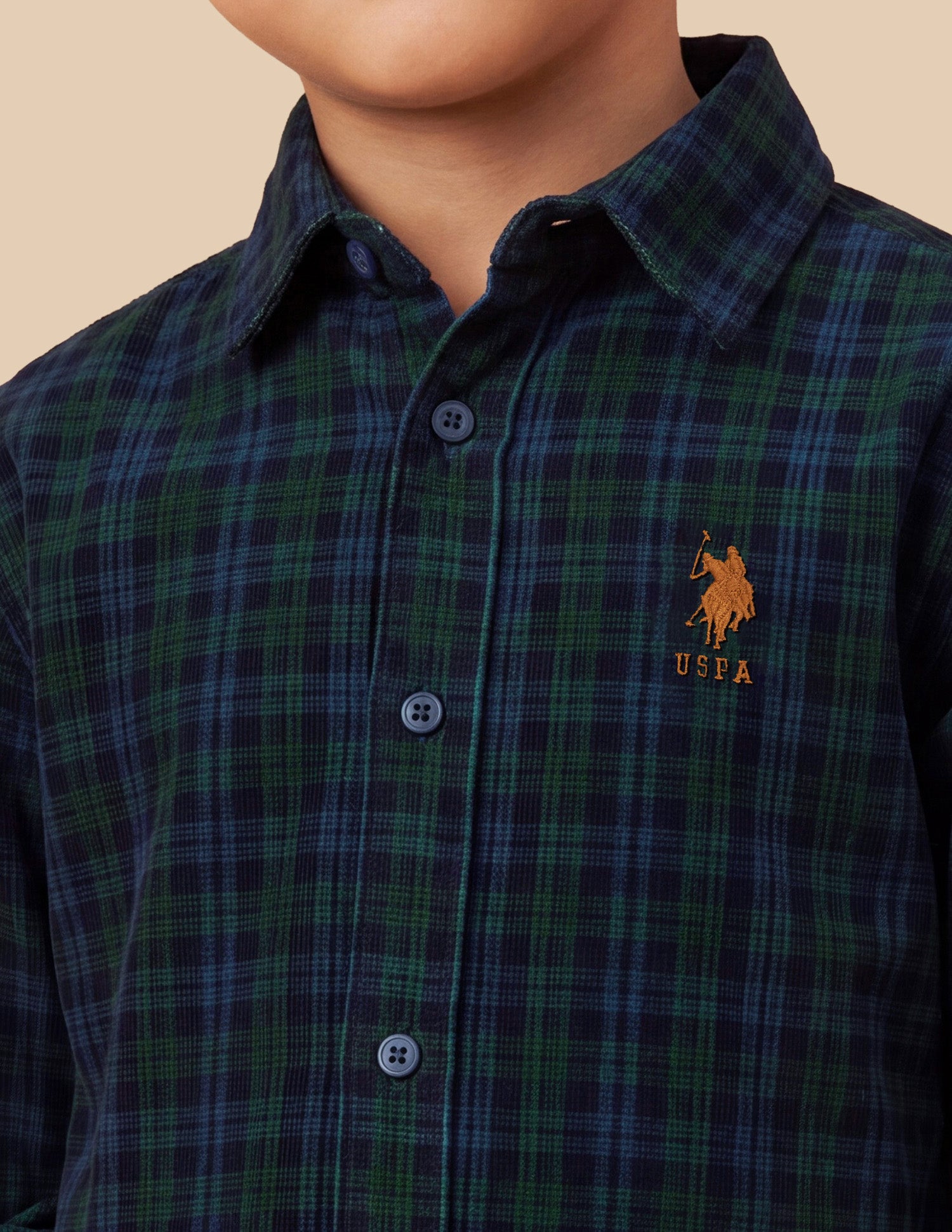 Plaid Checked Regular Fit Shirt Green - U.S. Polo Assn. India | Large