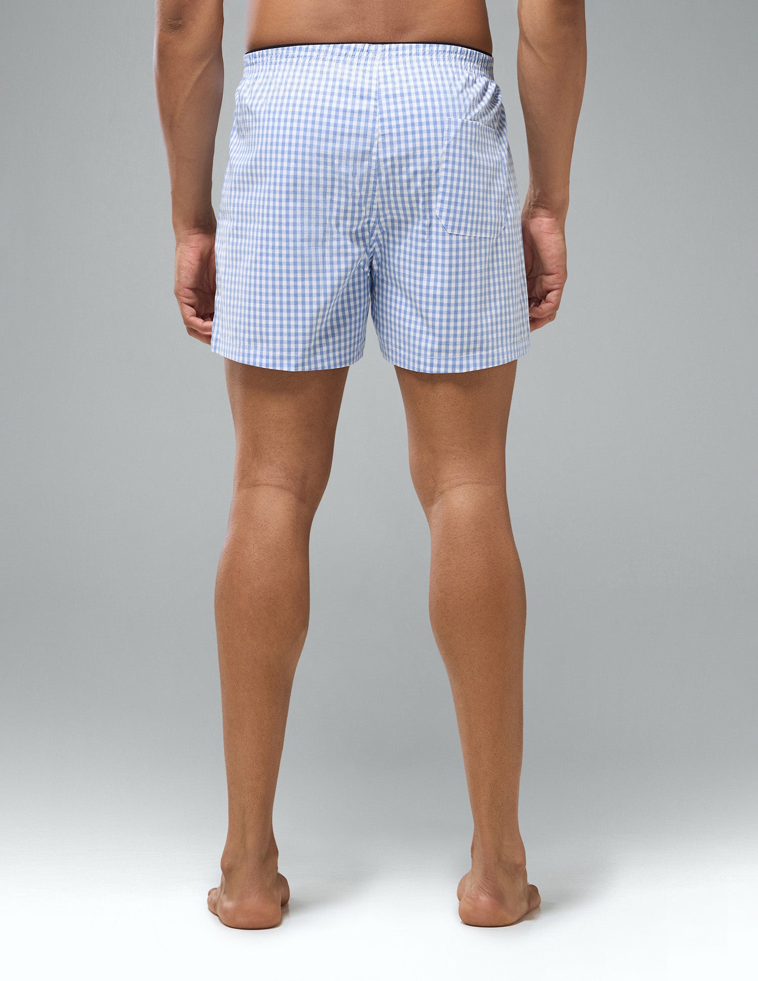 Gingham Checked OEX24 Boxer Shorts Light Blue - U.S. Polo Assn. India | Large