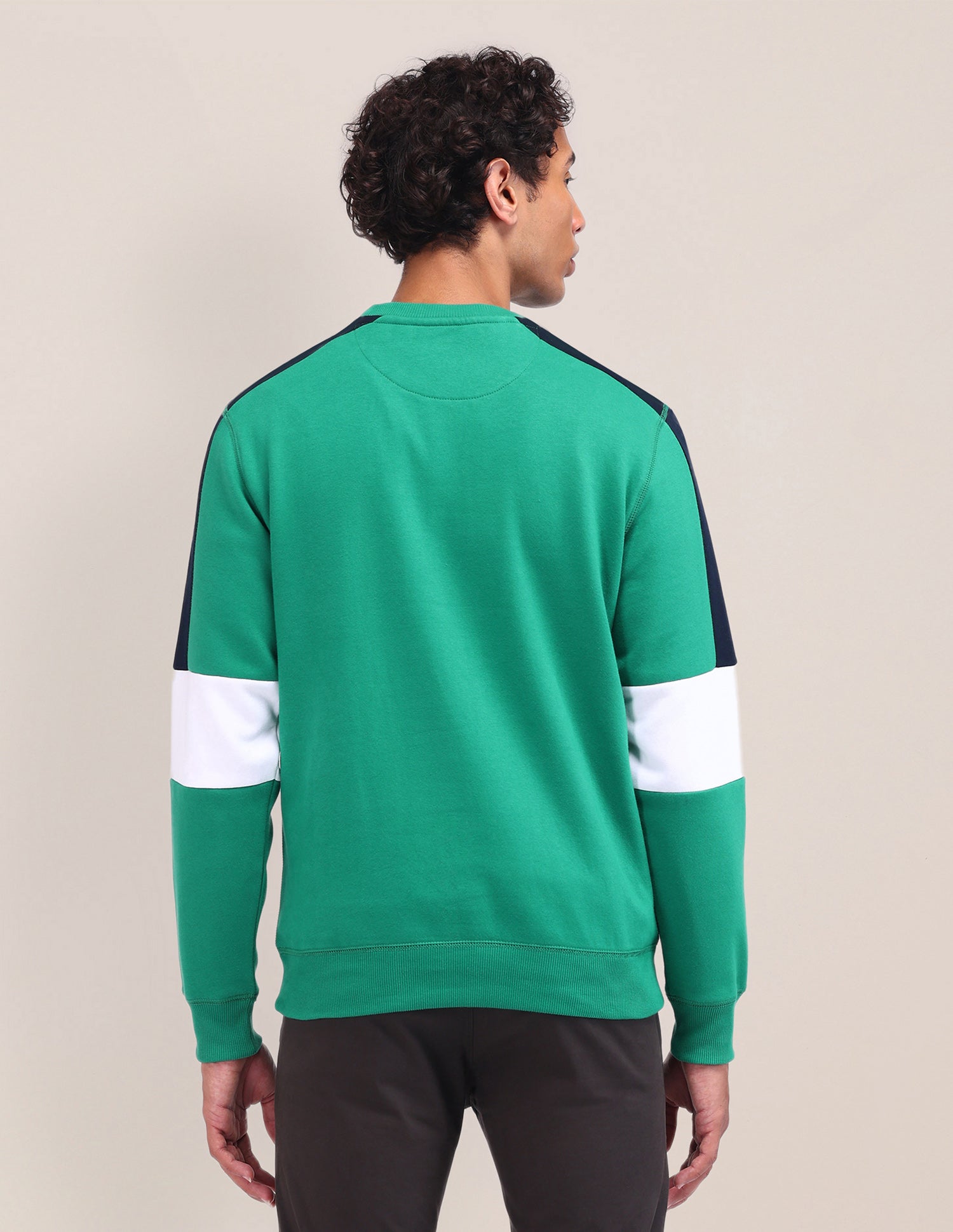 Colour Blocked Regular Fit Sweatshirt Green - U.S. Polo Assn. India | Large