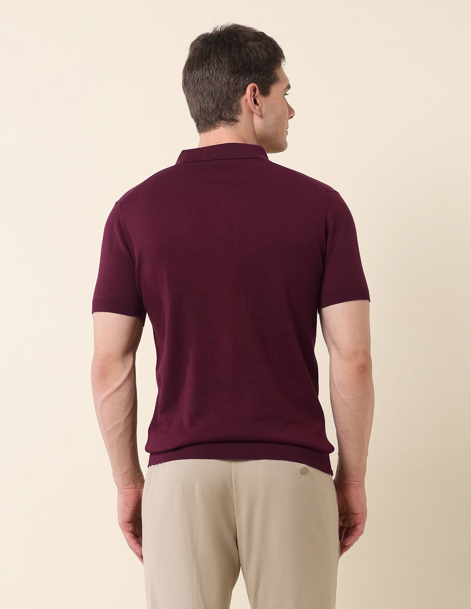 Solid Slim Fit Monochrome Polo Shirt Maroon - U.S. Polo Assn. India | Large