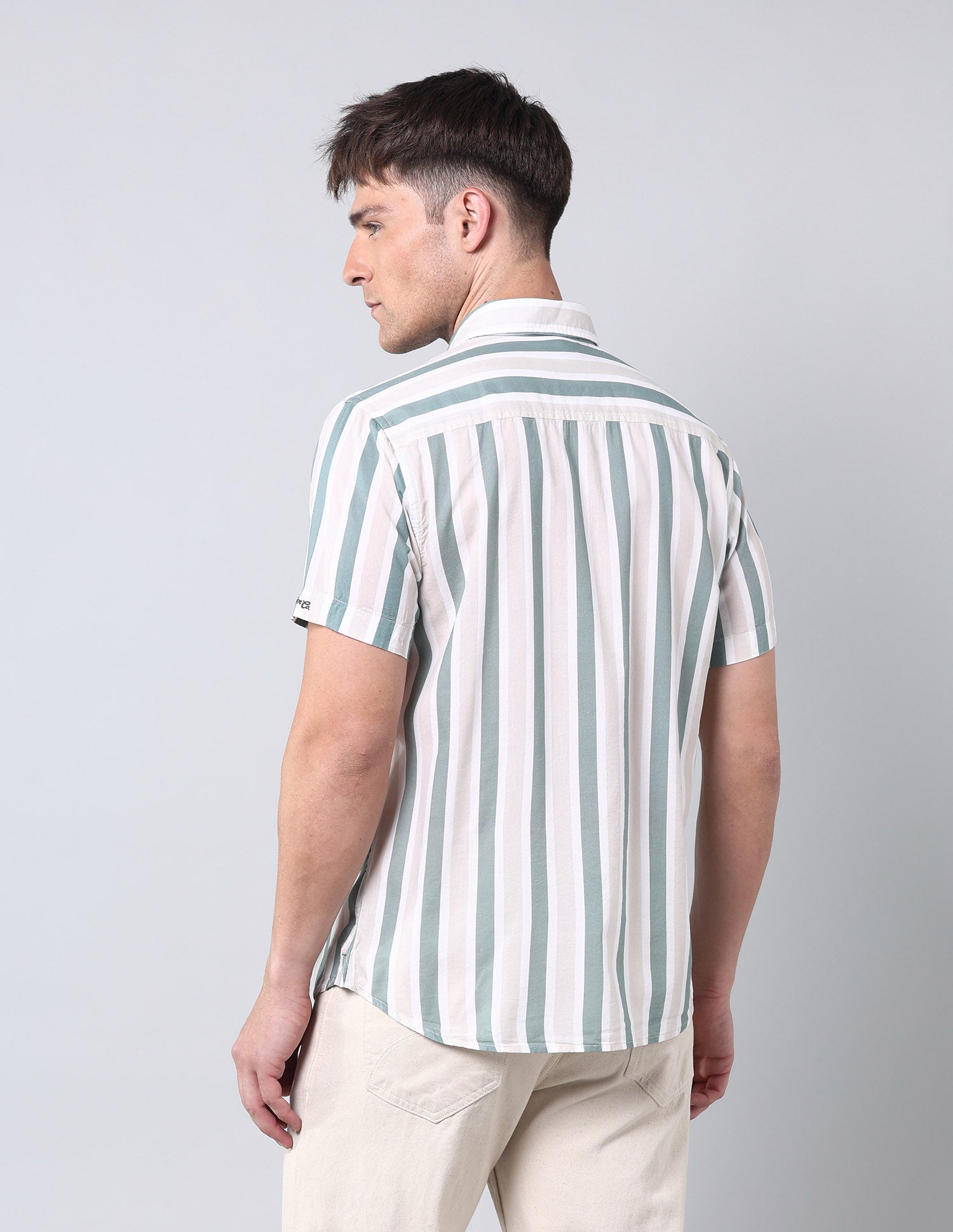 Vertical Striped Regular Fit Shirt Green - U.S. Polo Assn. India | Large