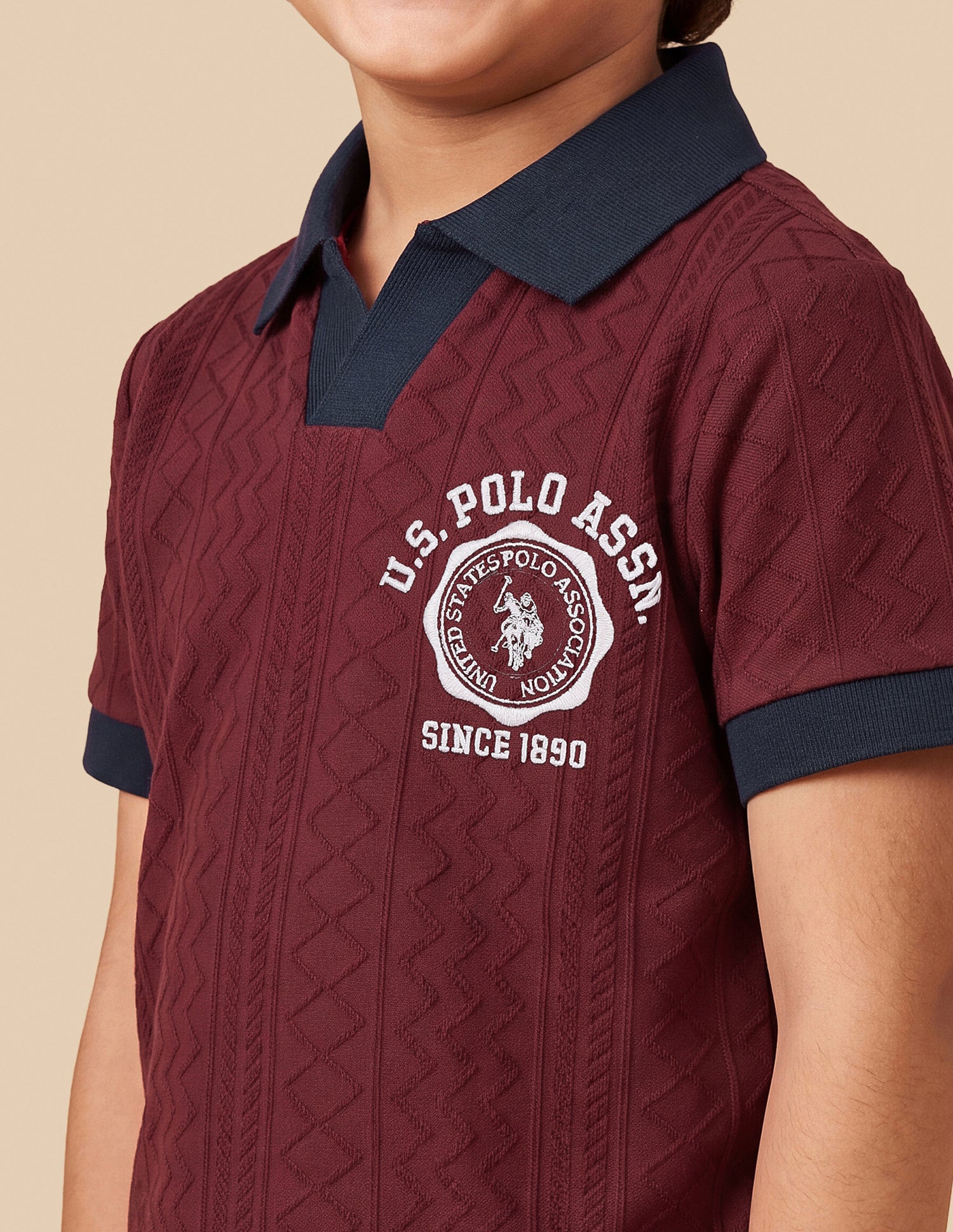 Self Design Geometric Regular Fit Polo Shirt Red - U.S. Polo Assn. India | Large