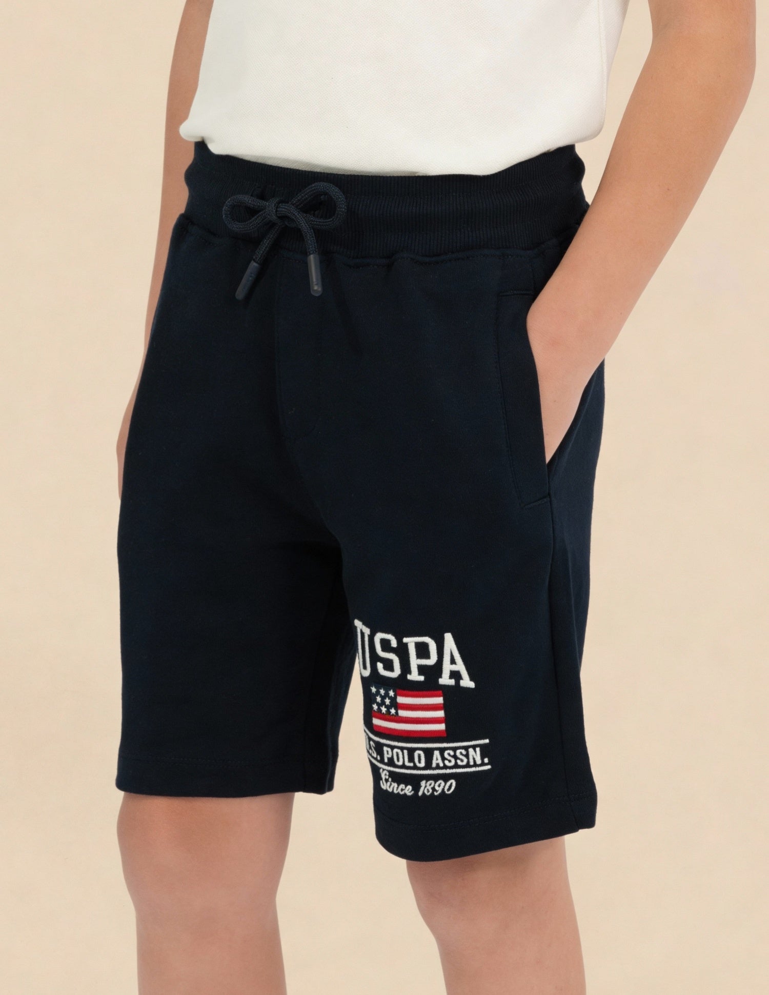 Boys Brand Printed Regular Fit Shorts Navy - U.S. Polo Assn. India | Large