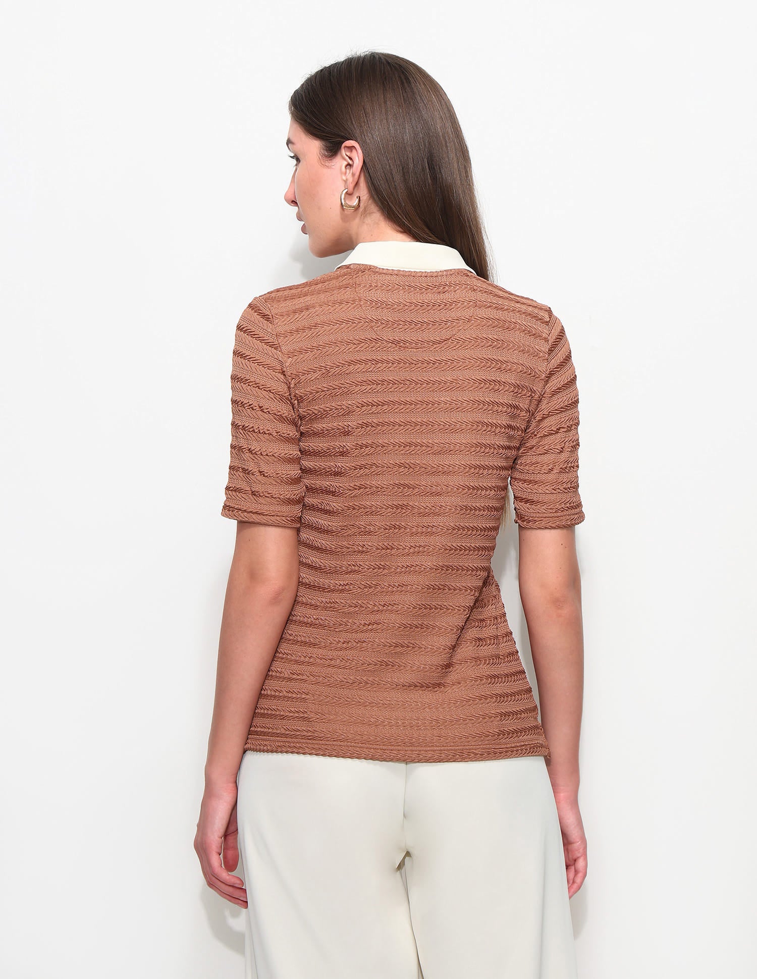 Textured Regular Fit Polo Shirt Brown - U.S. Polo Assn. India | Large