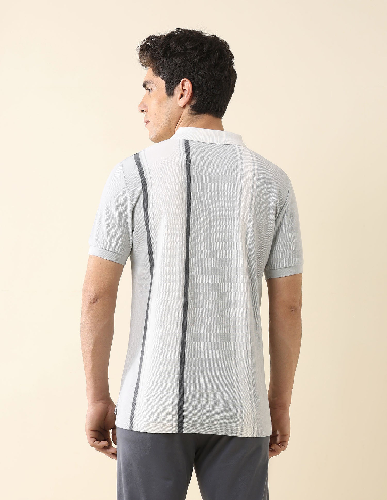 Vertical Striped Working Holiday Polo Shirt Grey - U.S. Polo Assn. India | Large