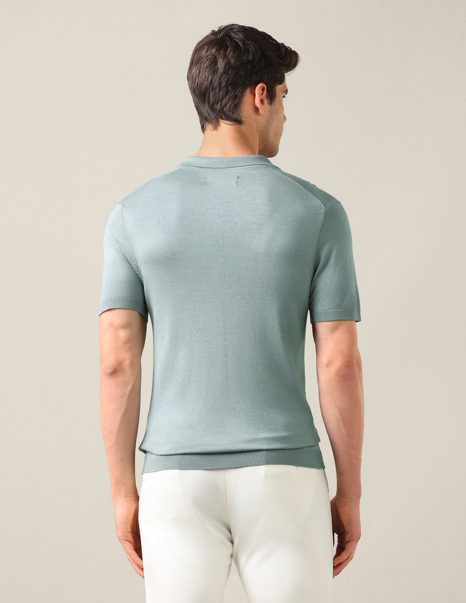 Solid Slim Fit Polo Shirt Light Green - U.S. Polo Assn. India | Large