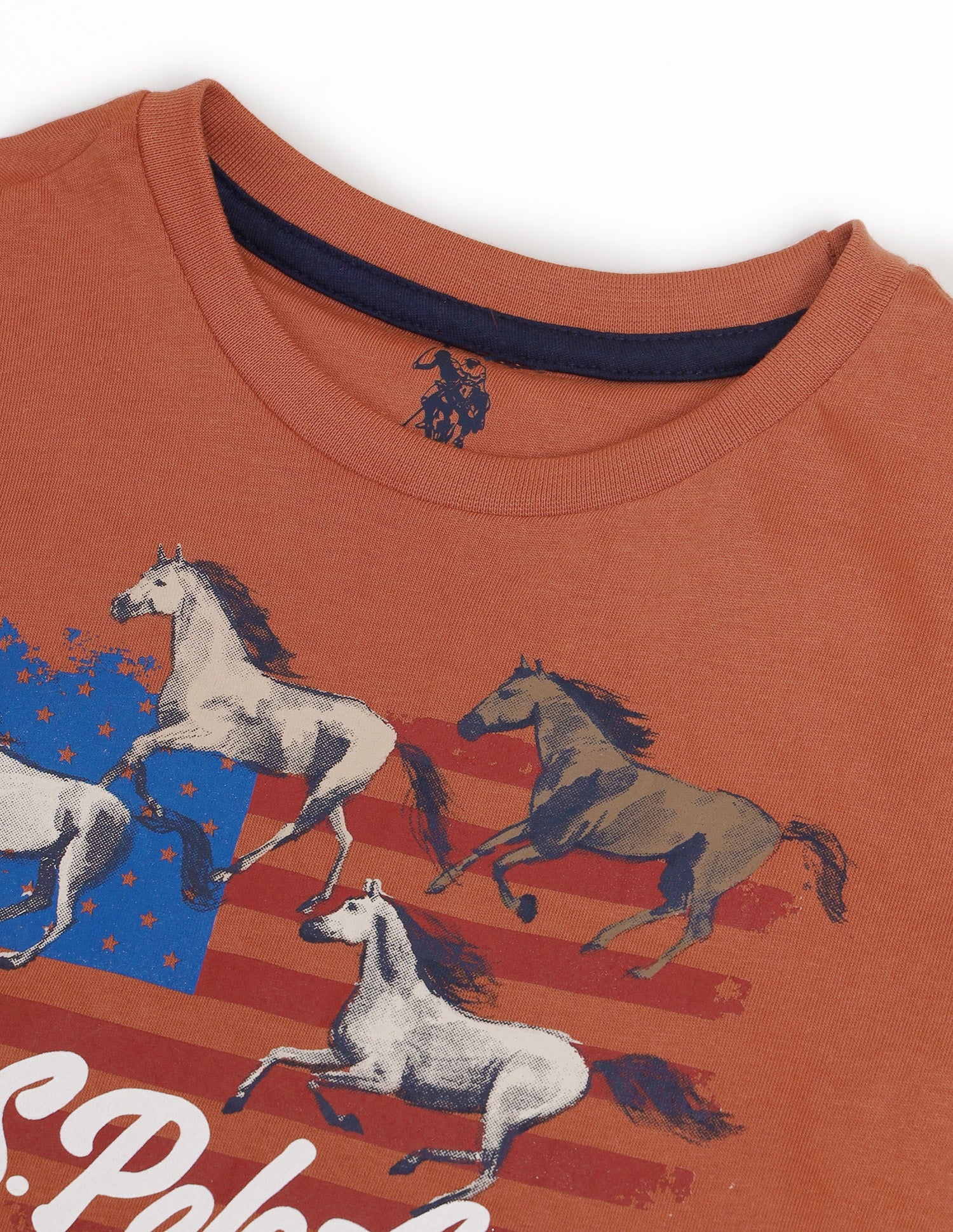 Boys Round Neck Graphic Printed T-Shirt Rust - U.S. POLO ASSN. | Large