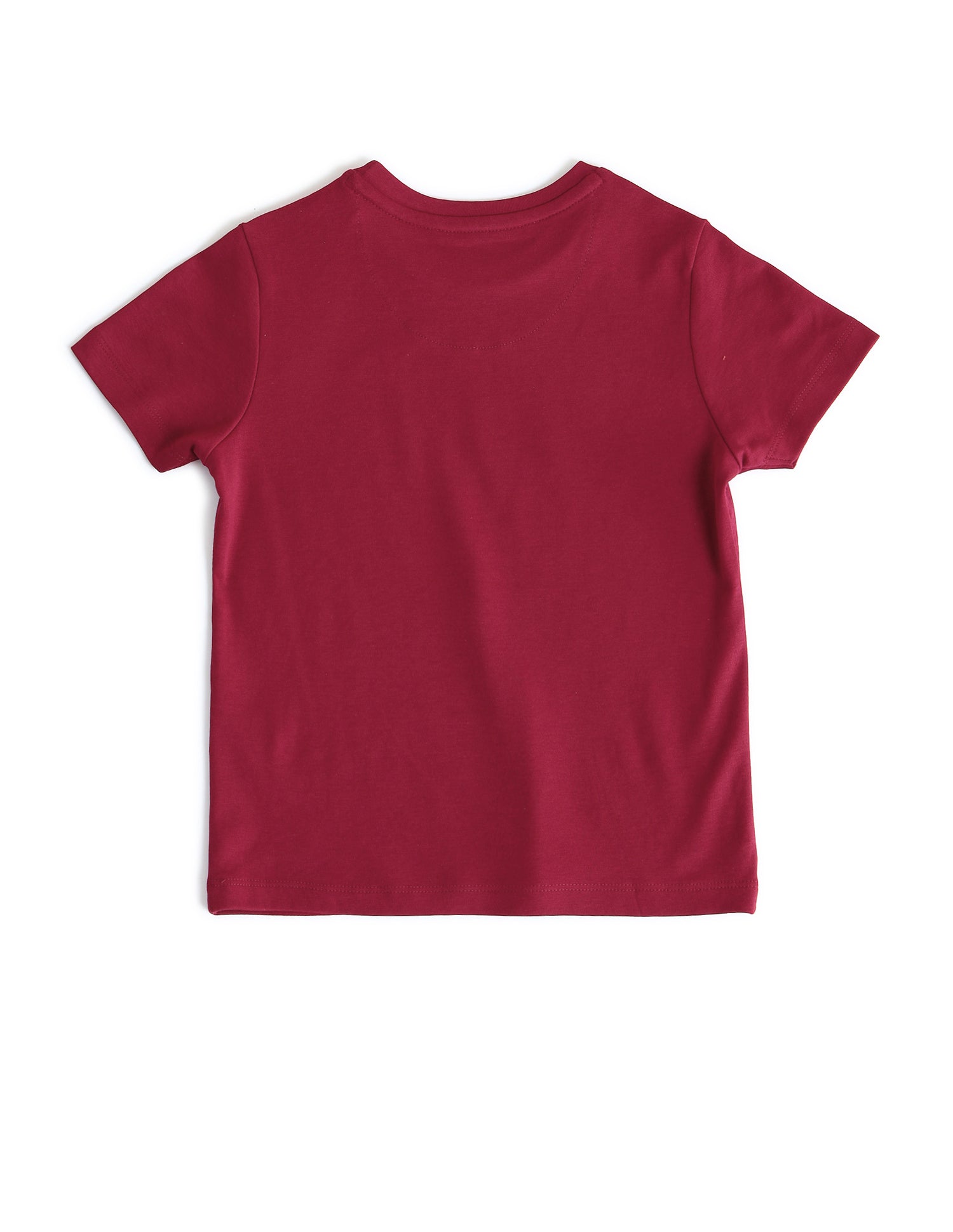 Boys Brand Printed Regular Fit T-Shirt Tawny Port - U.S. Polo Assn. India | Large