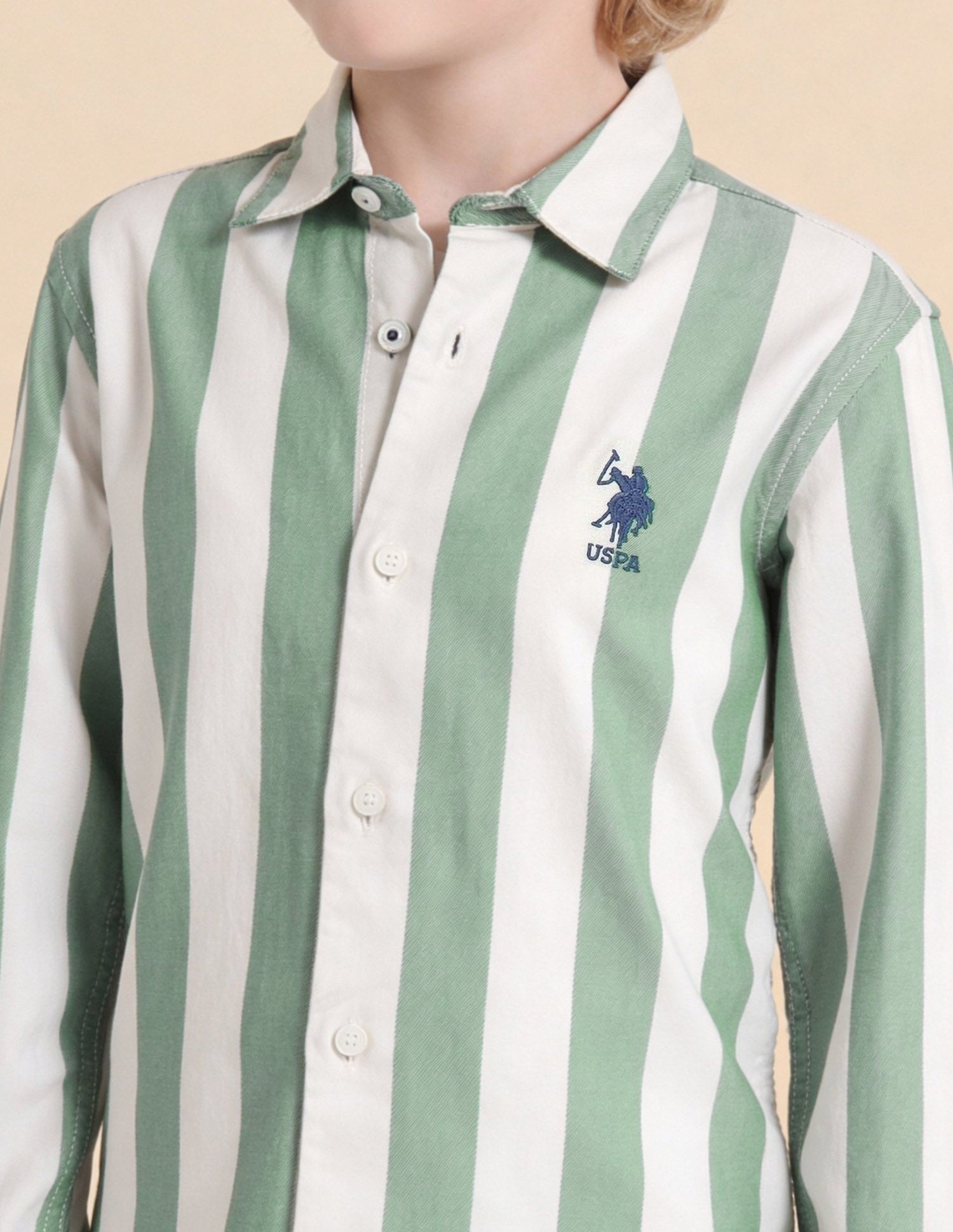 Vertical Striped Twill Shirt Green - U.S. Polo Assn. India | Large