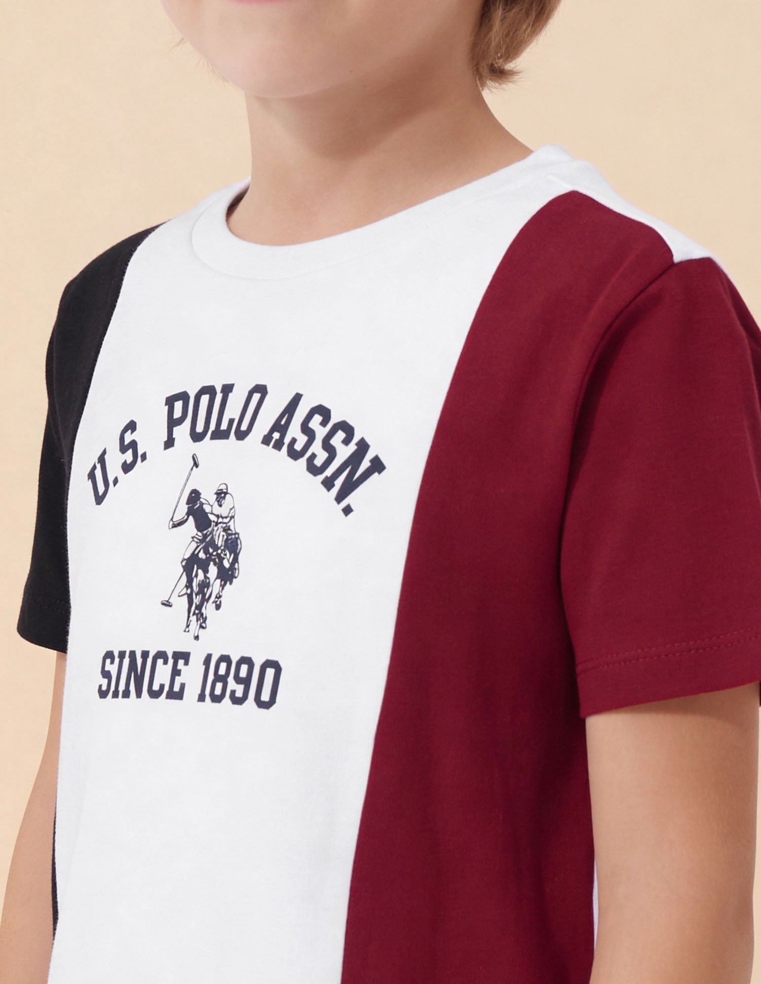 Colour Blocked Brand Printed Regular Fit T-Shirt White - U.S. Polo Assn. India | Large