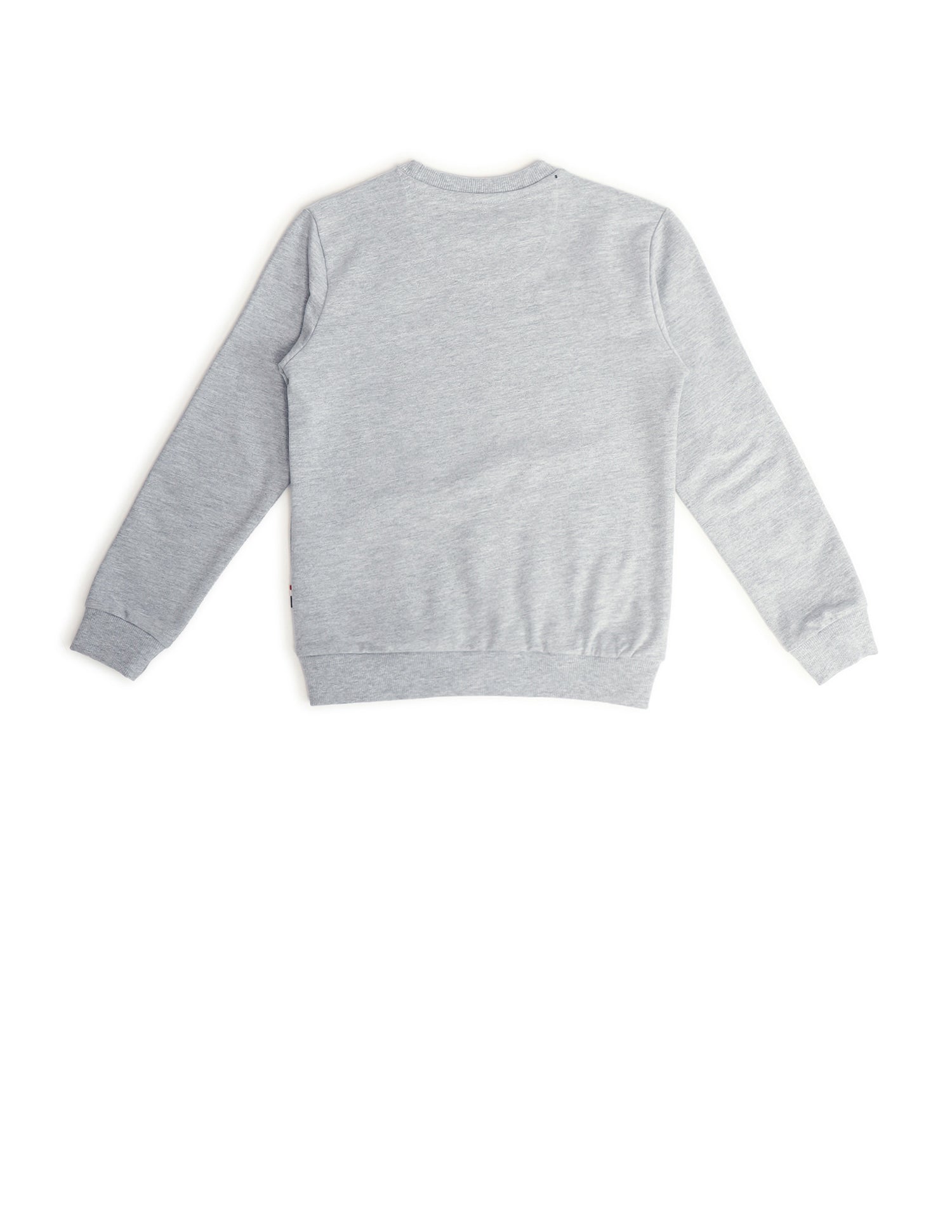 Boys Graphic Printed Sweatshirt Nude - U.S. Polo Assn. India | Large