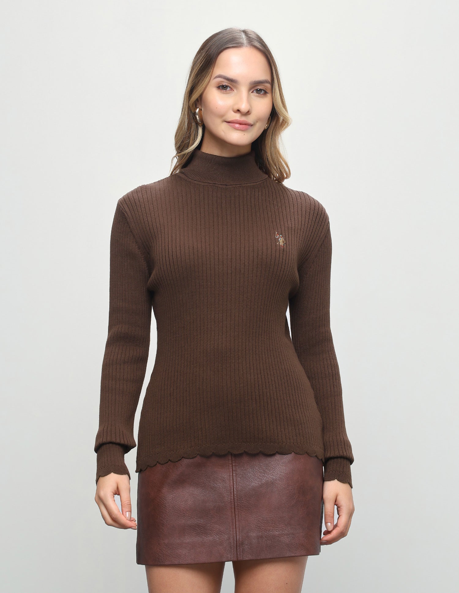 Vertical Striped Patterned Knit Fitted Sweater Dark Brown - U.S. Polo Assn. India | Large
