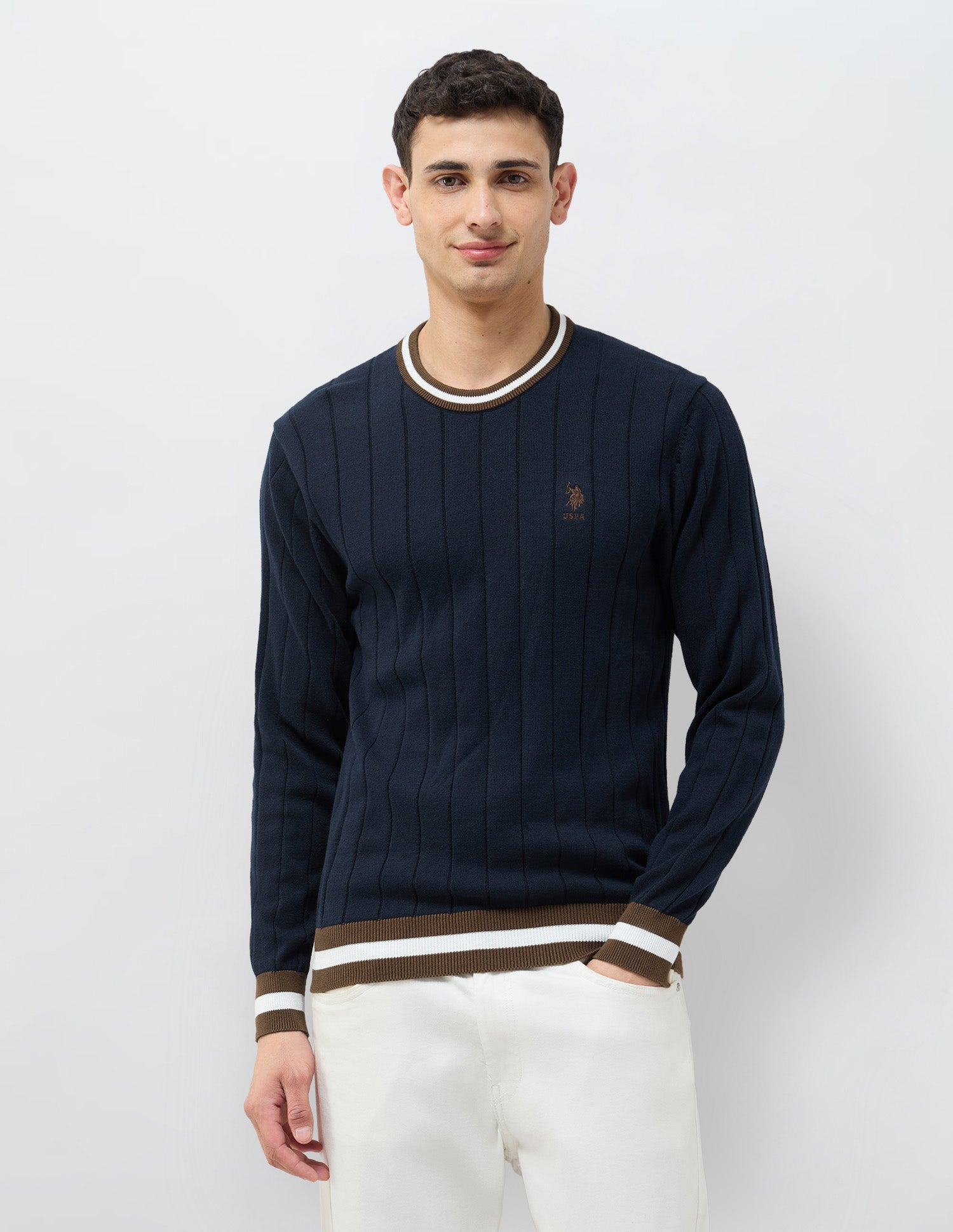 Vertical Striped Patterned Knit Regular Fit Sweater Navy - U.S. POLO ASSN. | Large