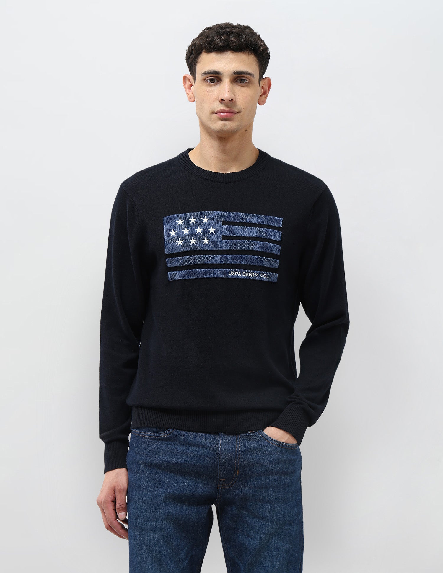 Graphic Patterned Knit Regular Fit Sweater Navy - U.S. POLO ASSN. | Large