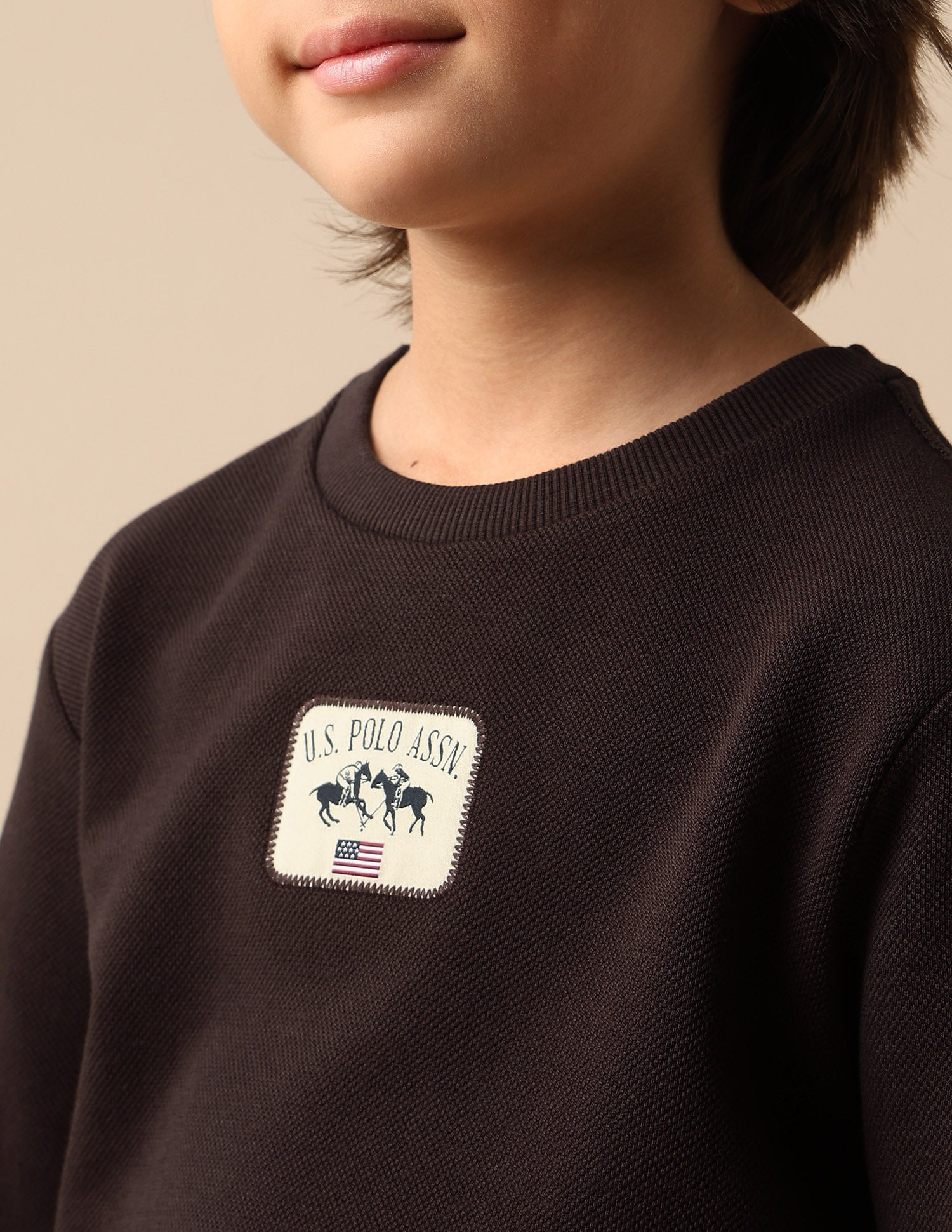 Boys Solid Regular Fit Sweatshirt Dark Brown - U.S. Polo Assn. India | Large