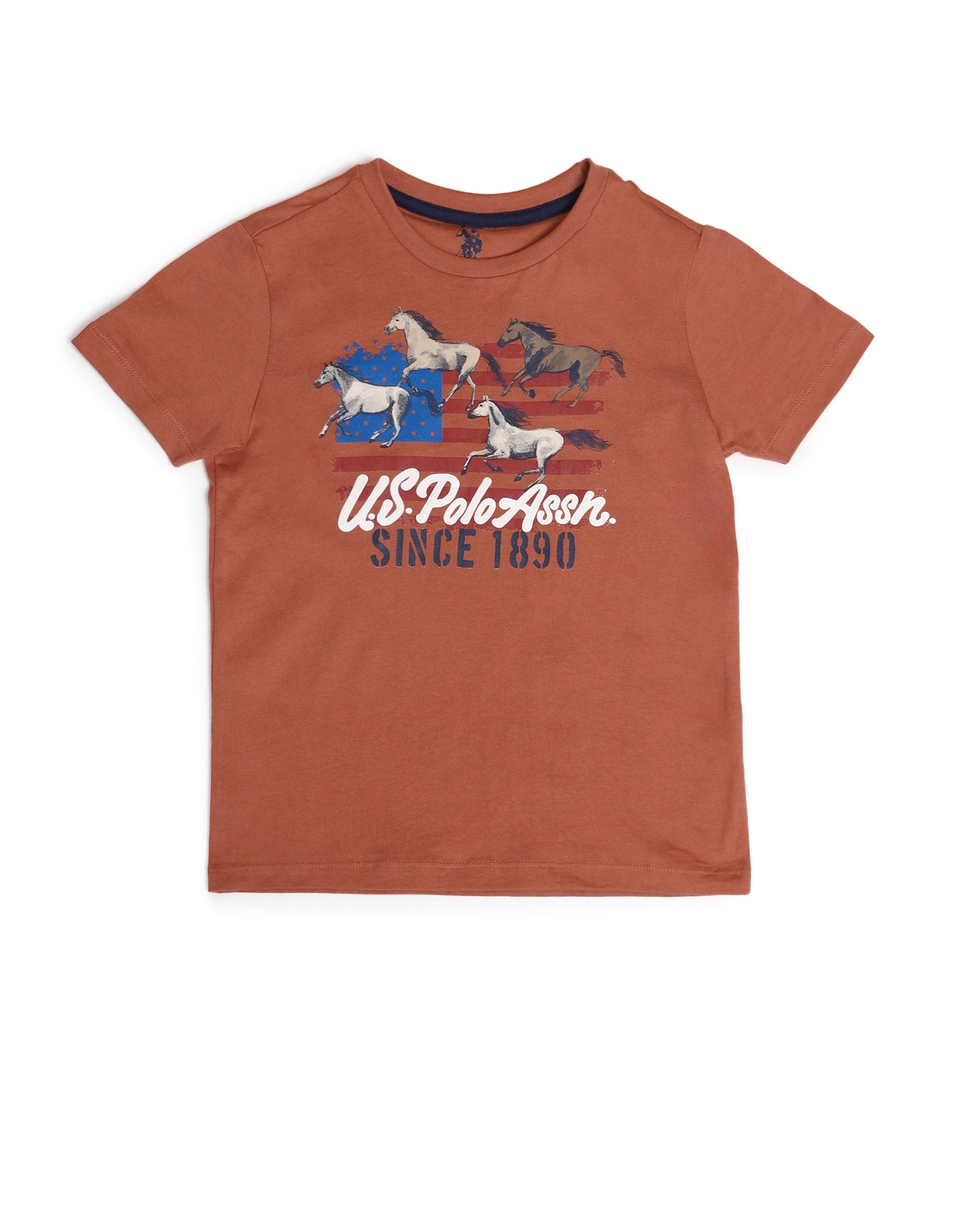 Boys Round Neck Graphic Printed T-Shirt Rust - U.S. POLO ASSN. | Large