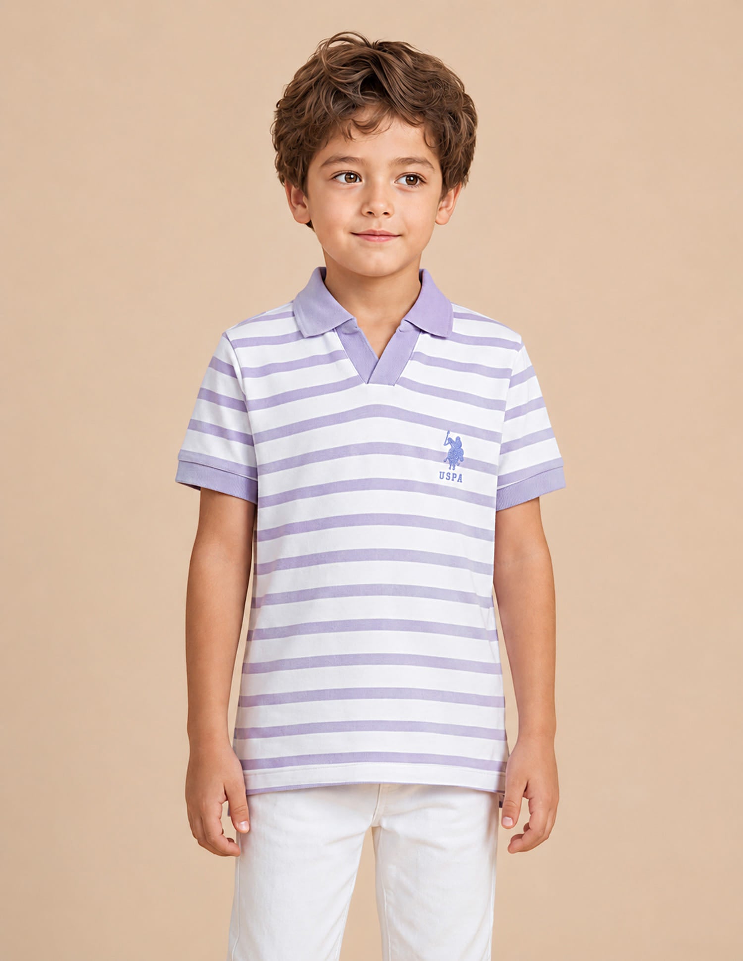 Horizontal Striped Regular Fit Polo Shirt Purple - U.S. Polo Assn. India | Large