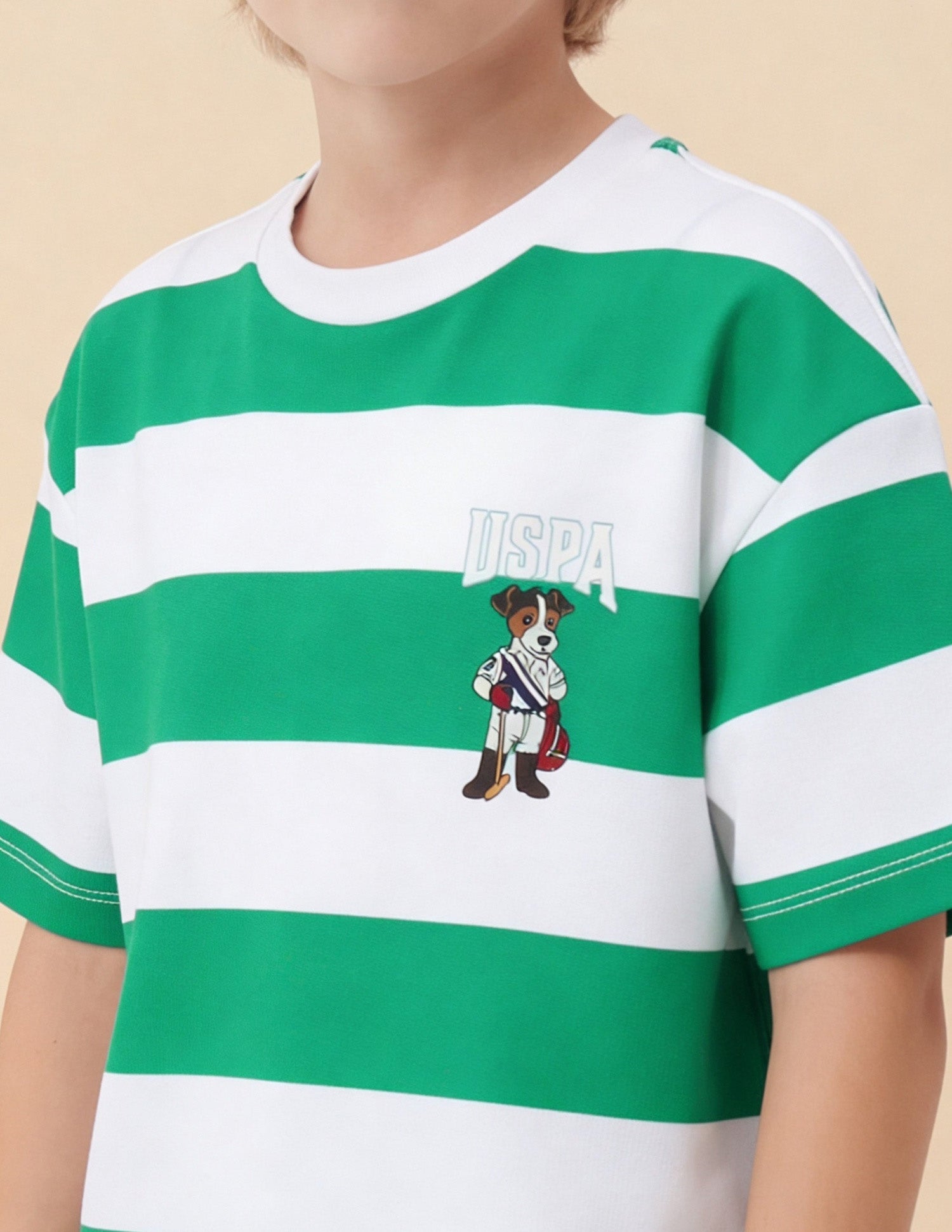 Horizontal Striped Oversized Fit T-Shirt Green - U.S. Polo Assn. India | Large