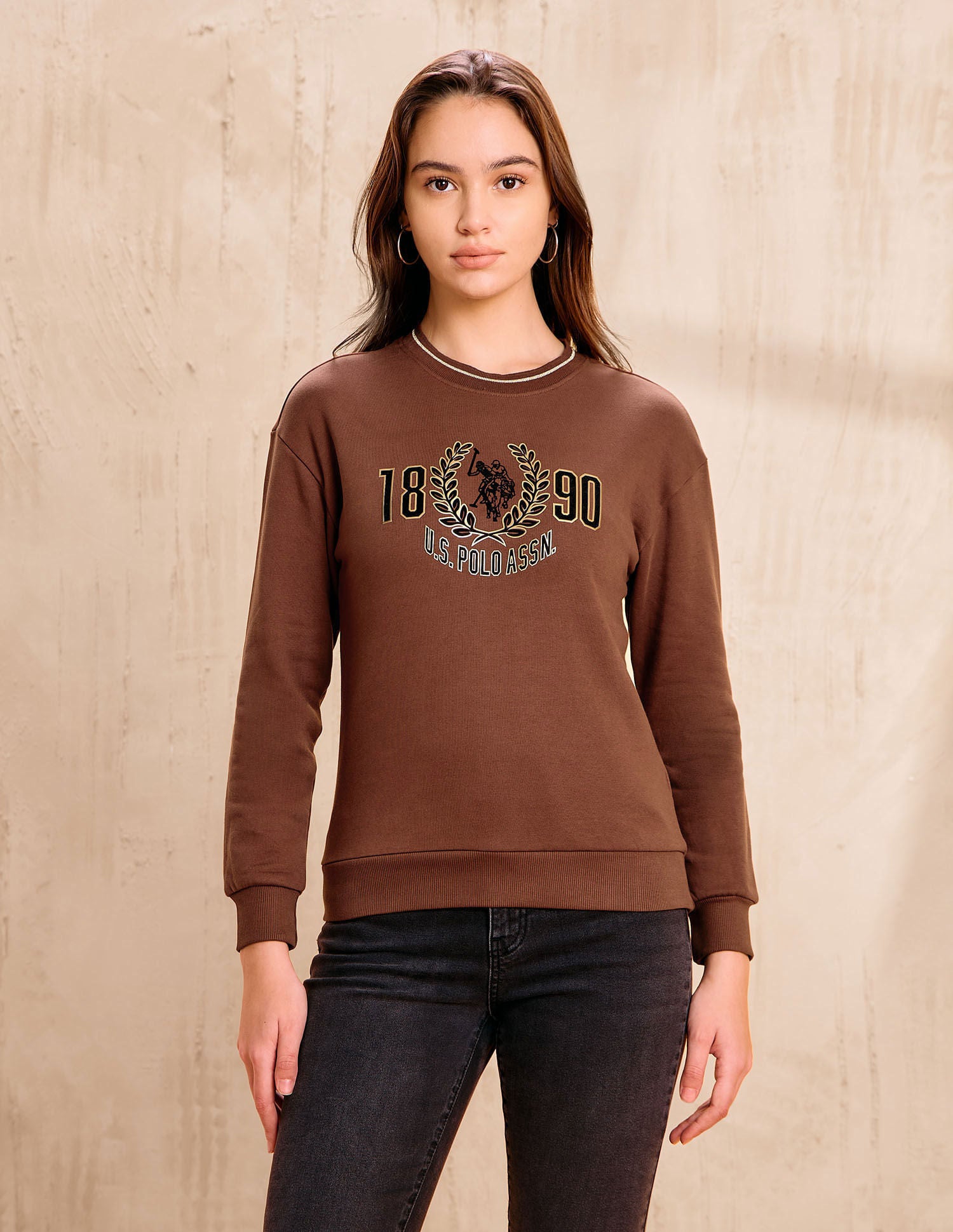 Brand Printed Regular Fit  Sweater Brown - U.S. POLO ASSN. | Large