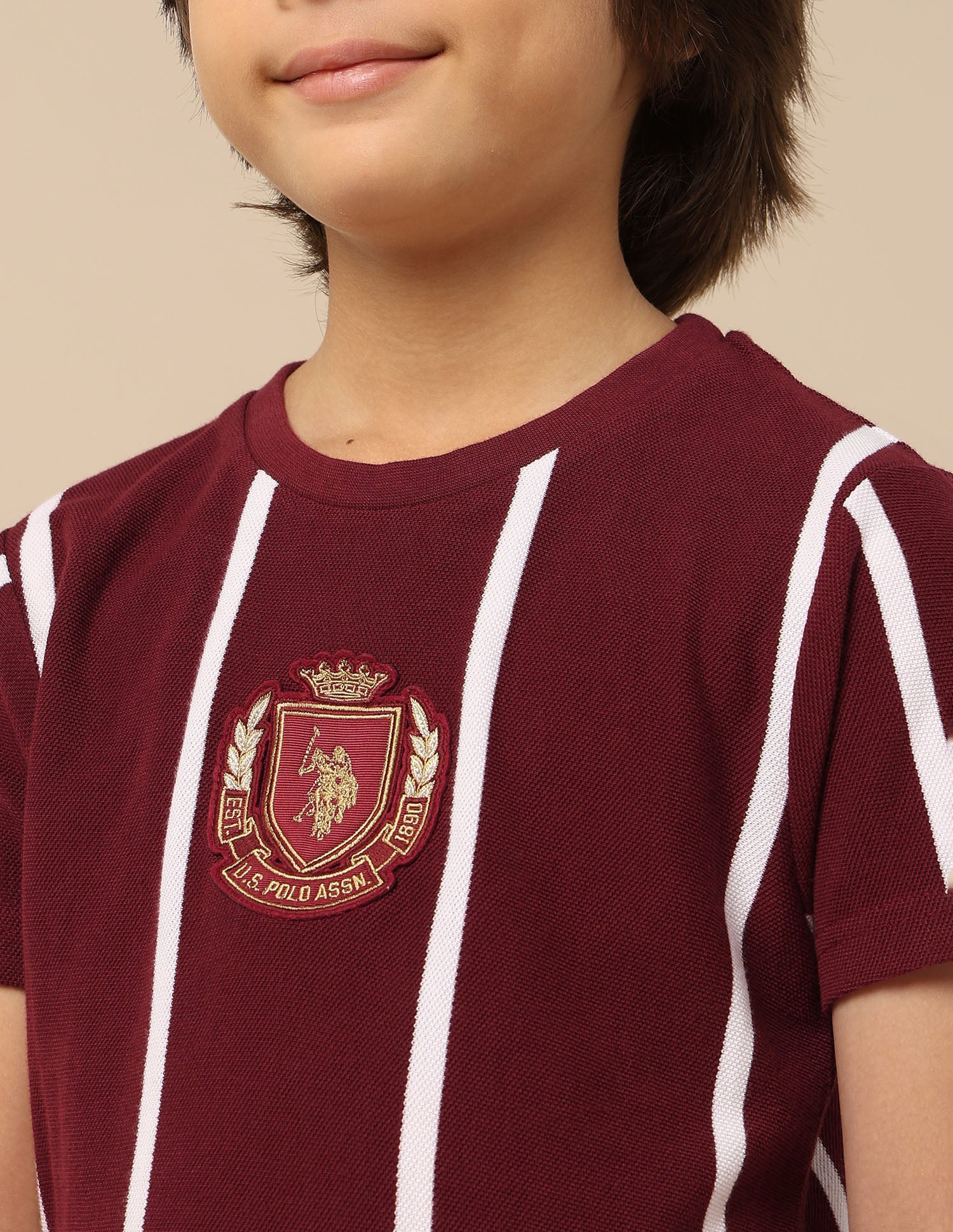 Boys Vertical Striped Regular Fit T-Shirt Maroon - U.S. POLO ASSN. | Large