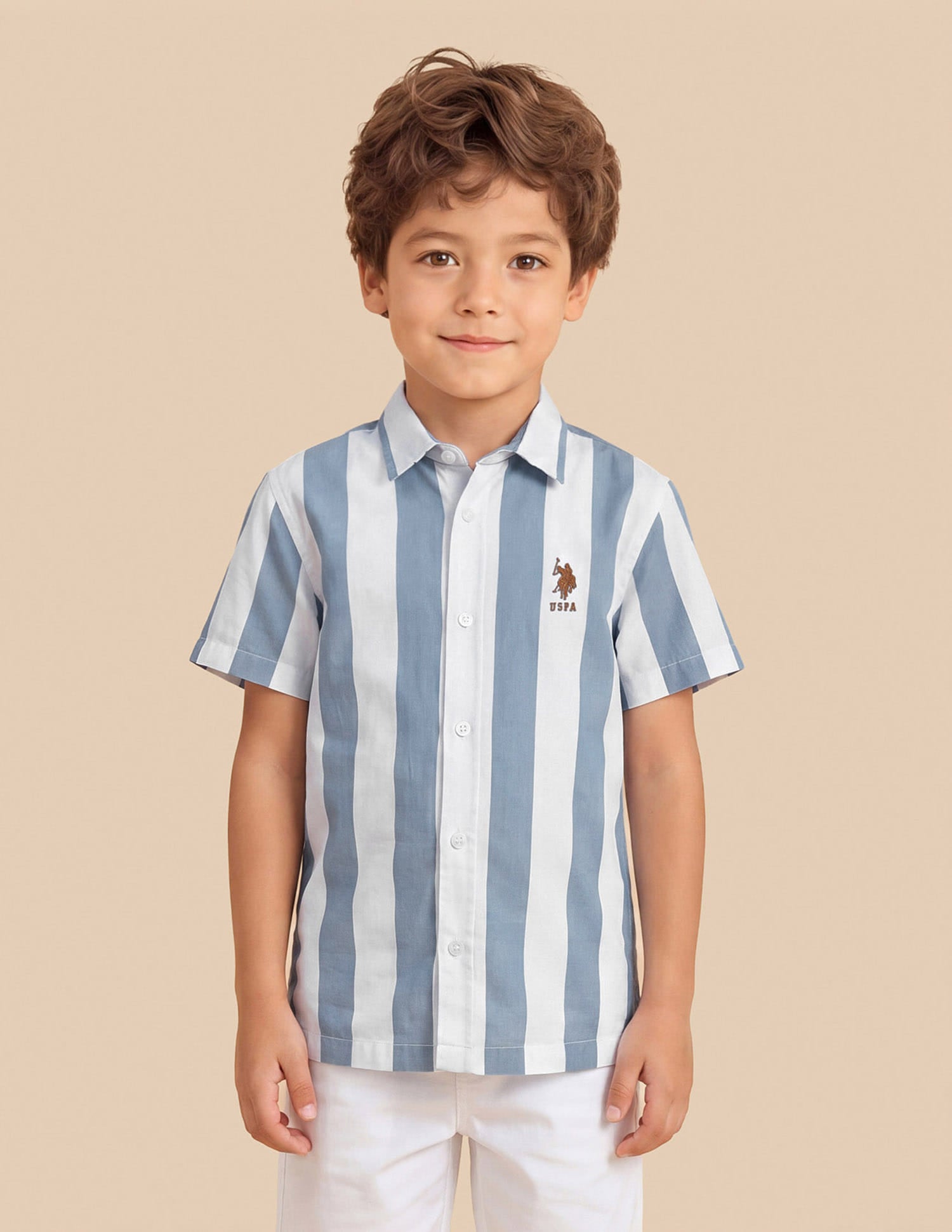 Vertical Striped Regular Fit Shirt Light Blue - U.S. Polo Assn. India | Large