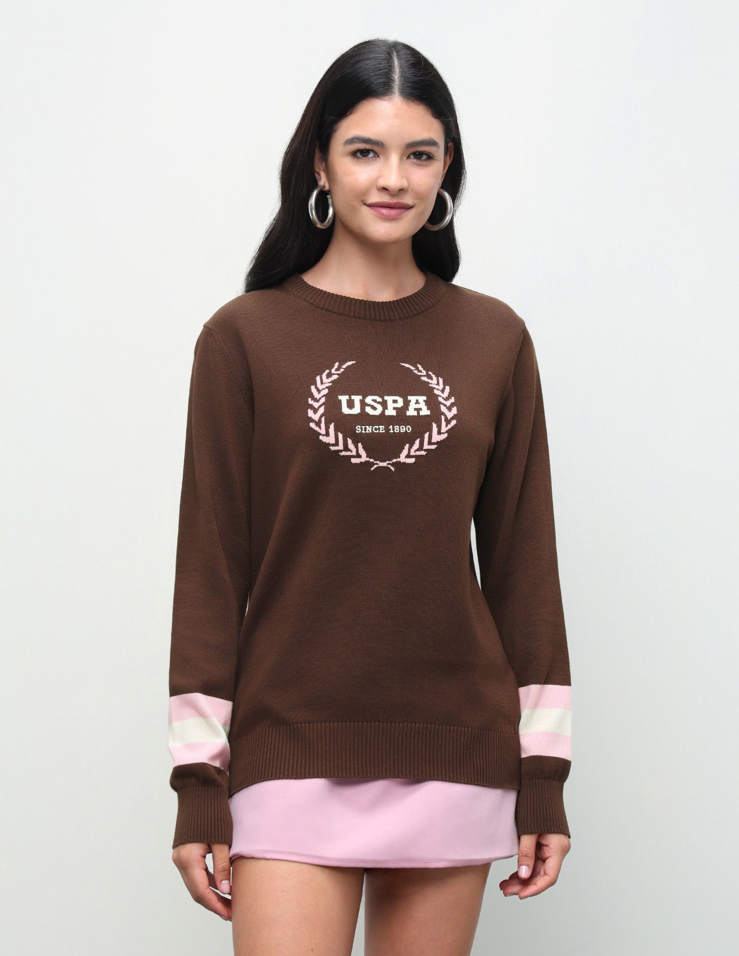 Brand Patterned Knit Regular Fit Sweater Brown - U.S. Polo Assn. India | Large