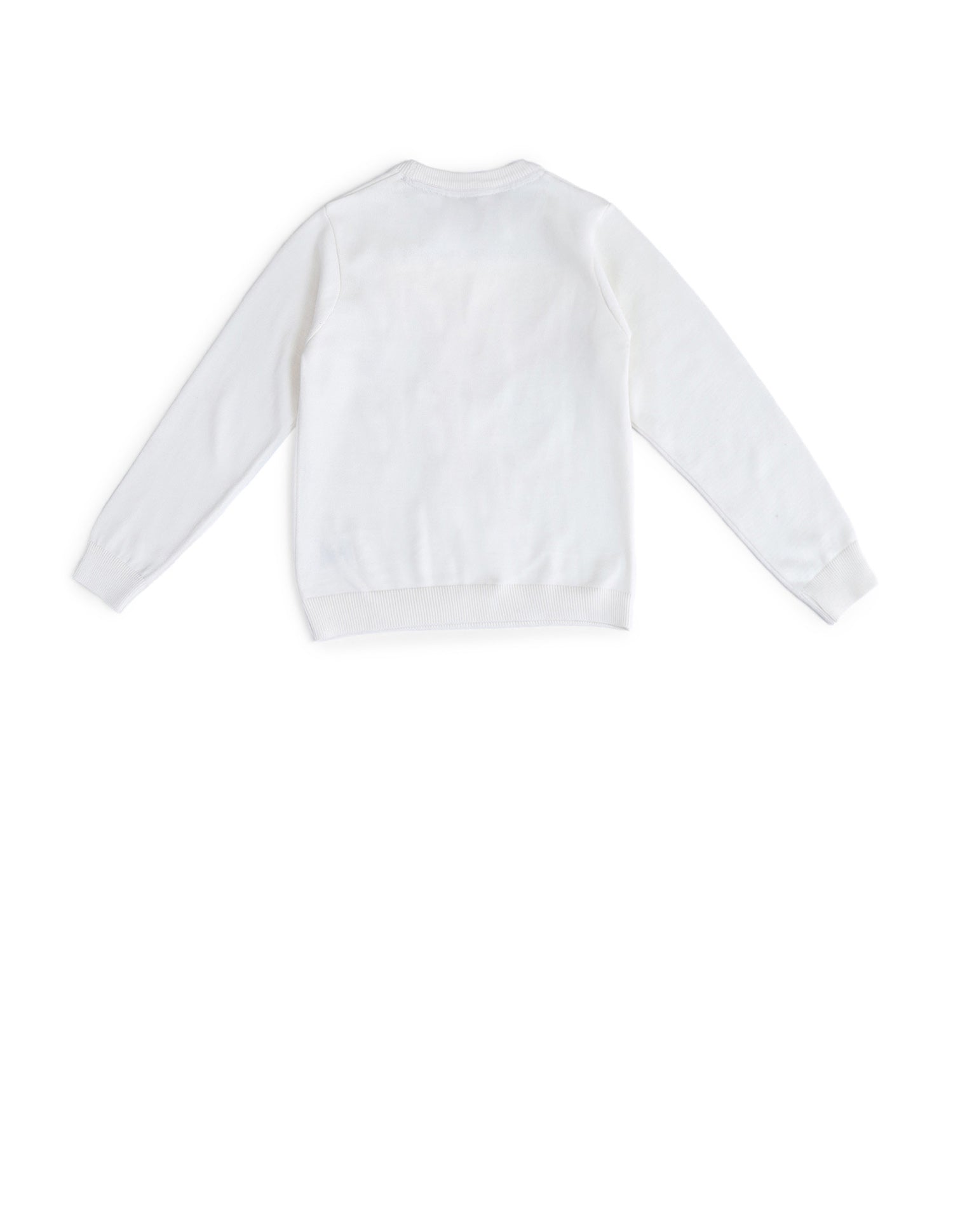 Boys Printed Regular Fit Sweater White - U.S. POLO ASSN. | Large