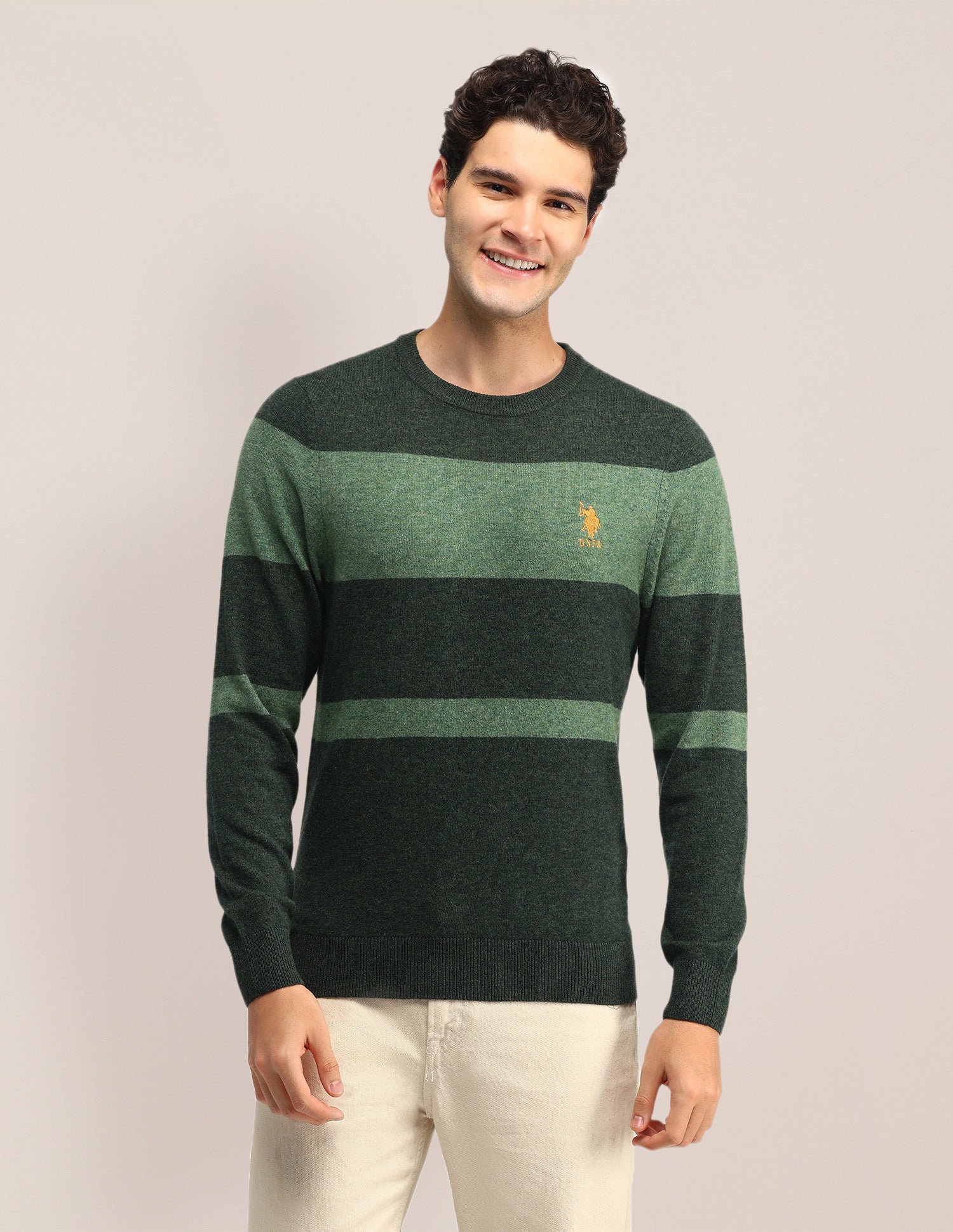 Colour Blocked Regular Fit Sweater Dark Green - U.S. POLO ASSN. | Large