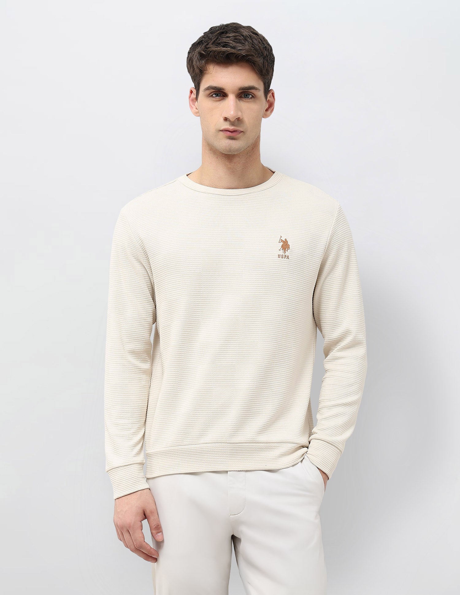Textured Patterned Knit Regular Fit Sweatshirt Beige - U.S. POLO ASSN. | Large