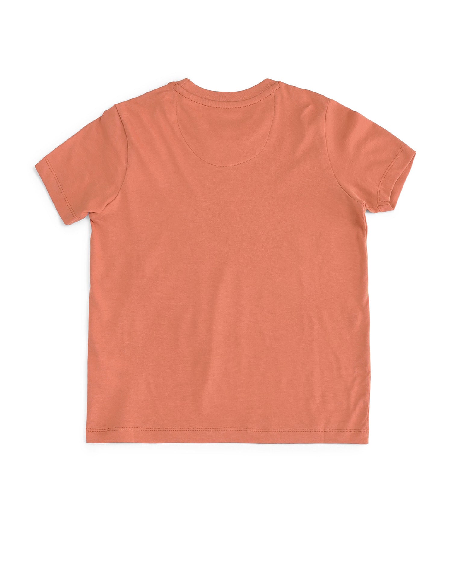 Boys Brand Print Regular Fit T-shirt Rust - U.S. POLO ASSN. | Large