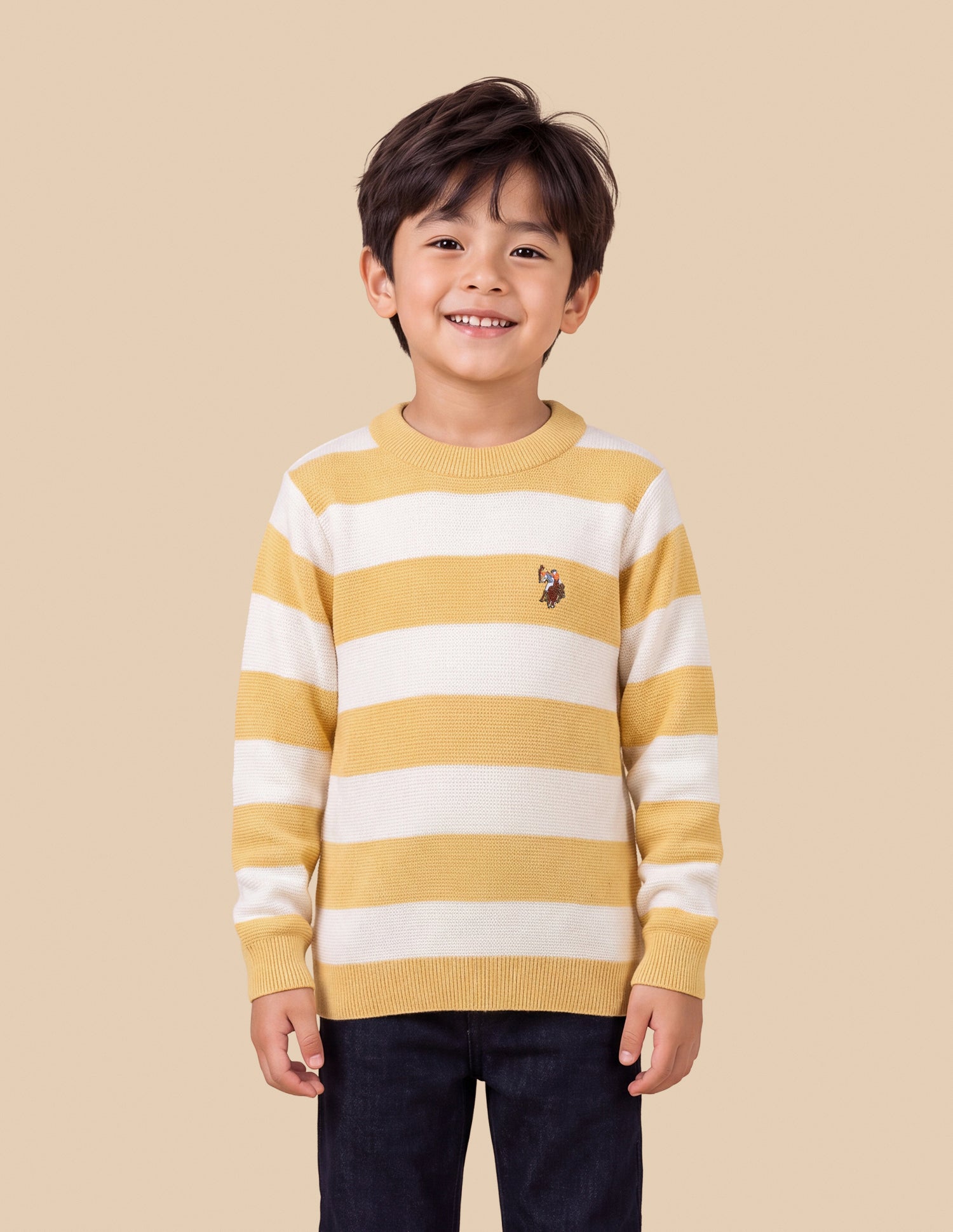 Horizontal Striped Regular Fit Sweater Light Yellow - U.S. Polo Assn. India | Large