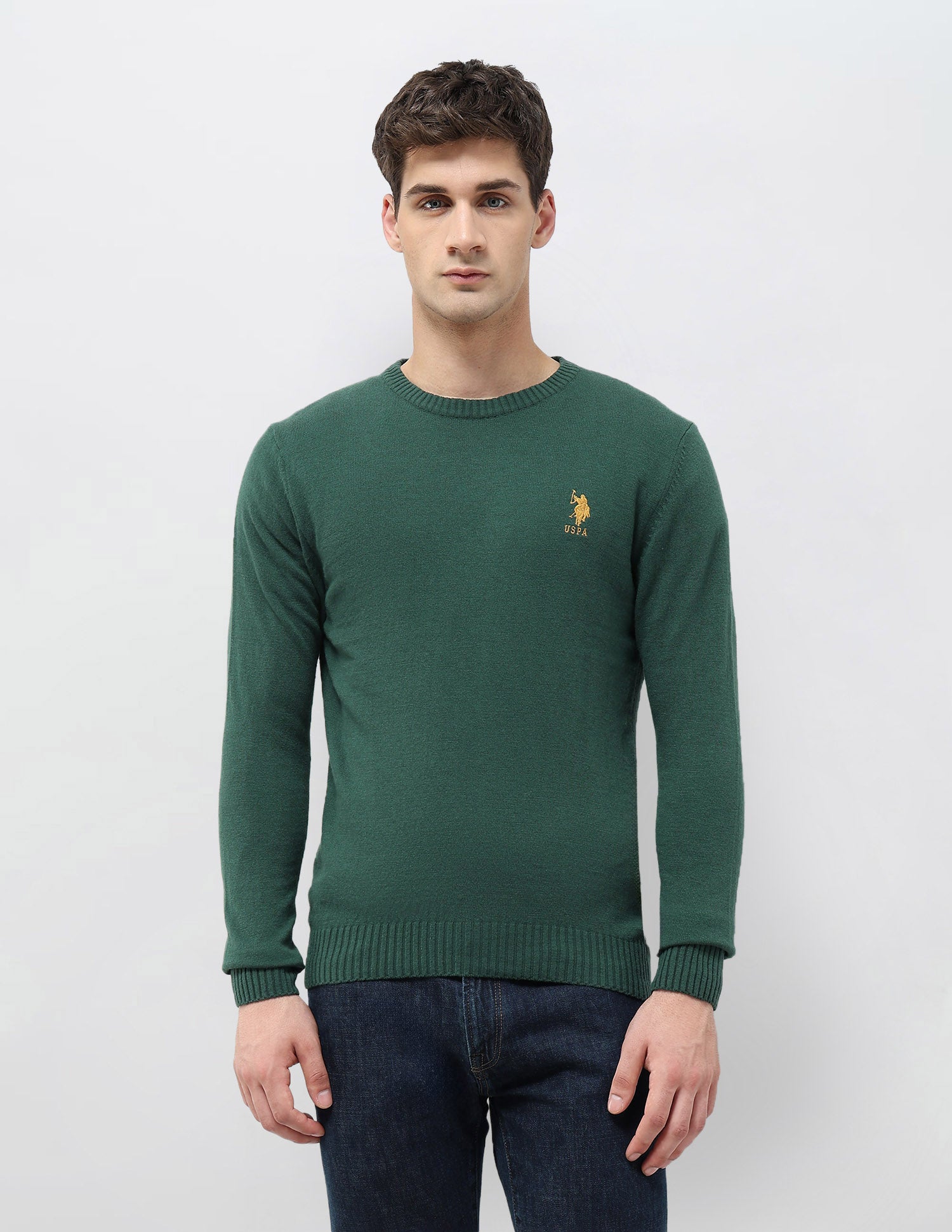Solid Pattern Regular Fit Sweater Green - U.S. POLO ASSN. | Large