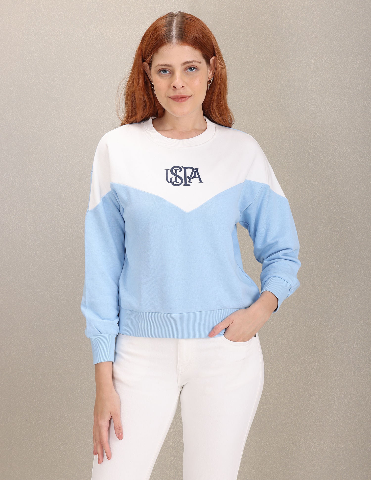 Crew Neck Colour Block Sweatshirt Light Blue - U.S. POLO ASSN. | Large