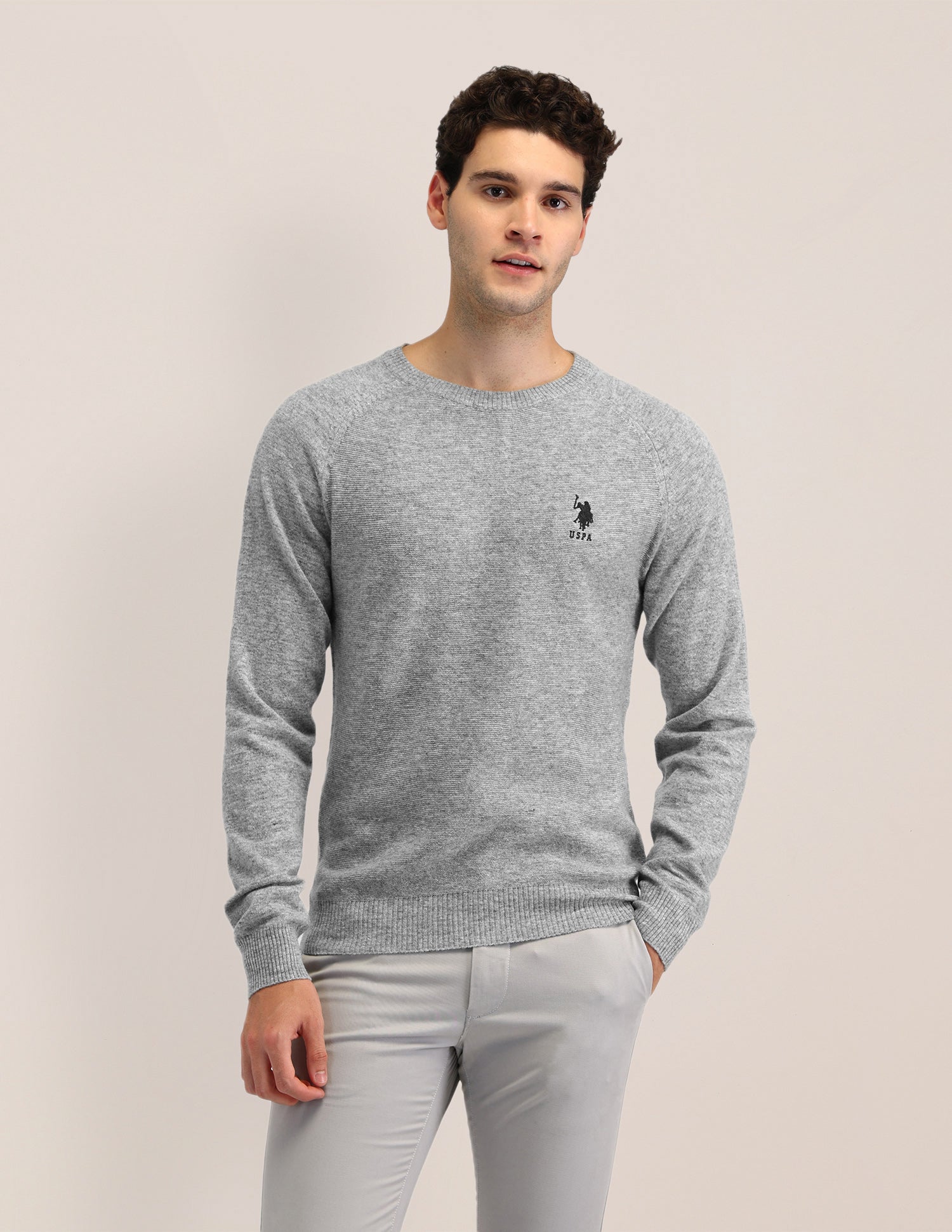 Textured Regular Fit Sweater Light Grey - U.S. Polo Assn. India | Large