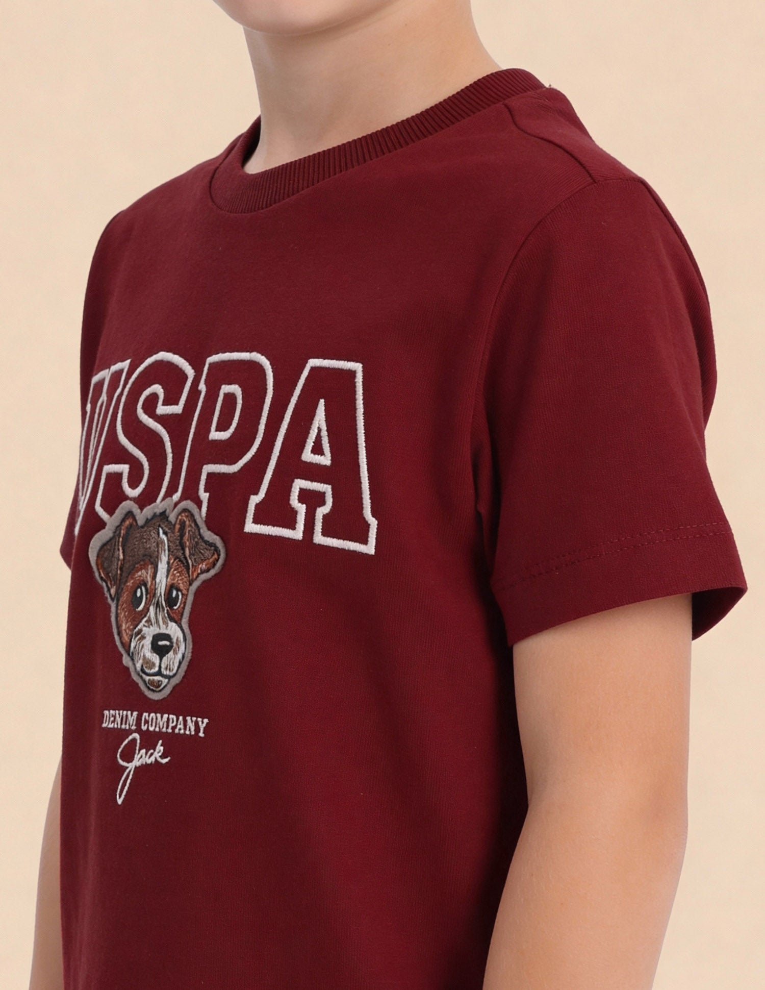 Brand Embroidered Regular Fit T-Shirt Red - U.S. Polo Assn. India | Large