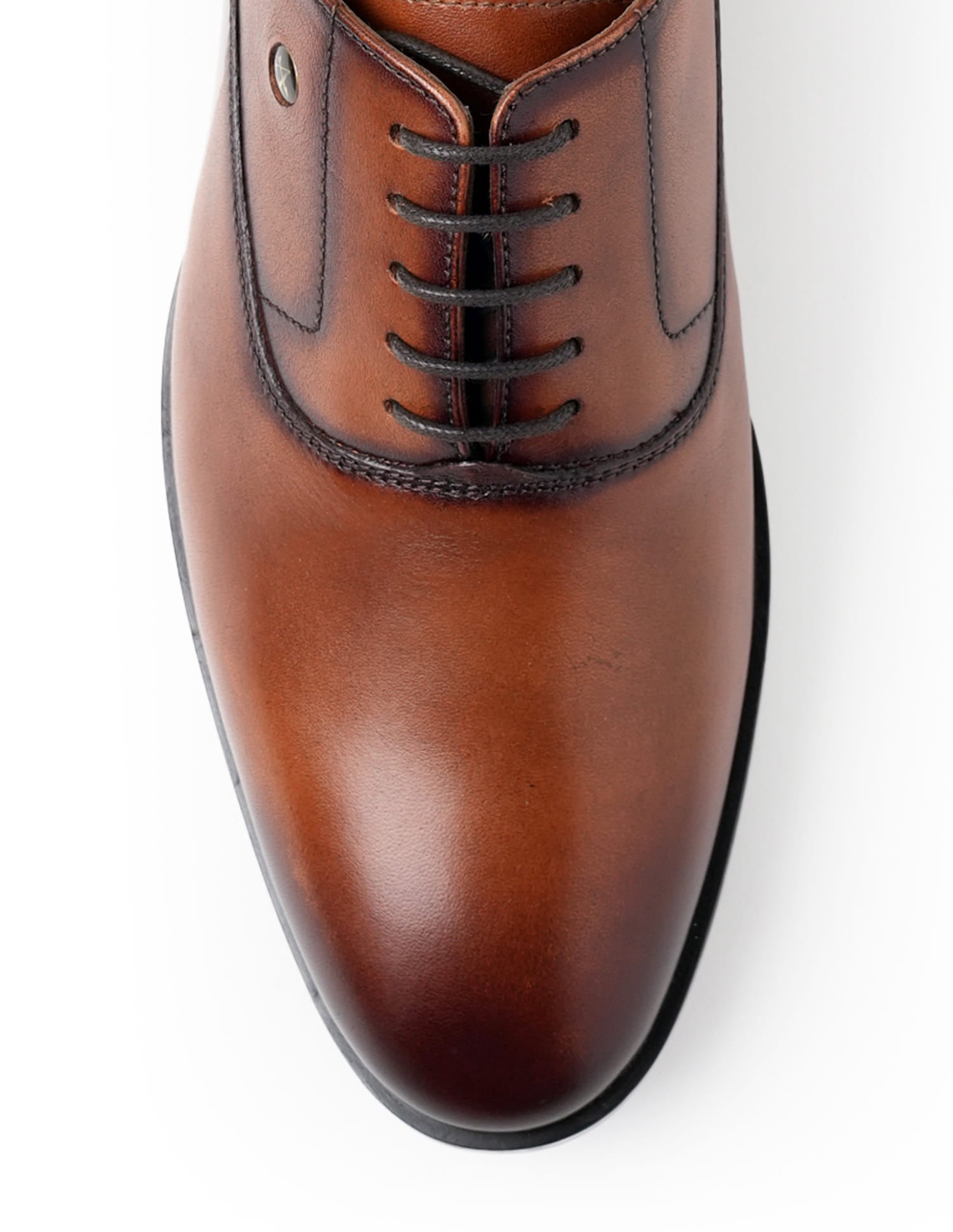 Pelican 3.0 Solid Leather Shoes Tan - U.S. Polo Assn. India | Large