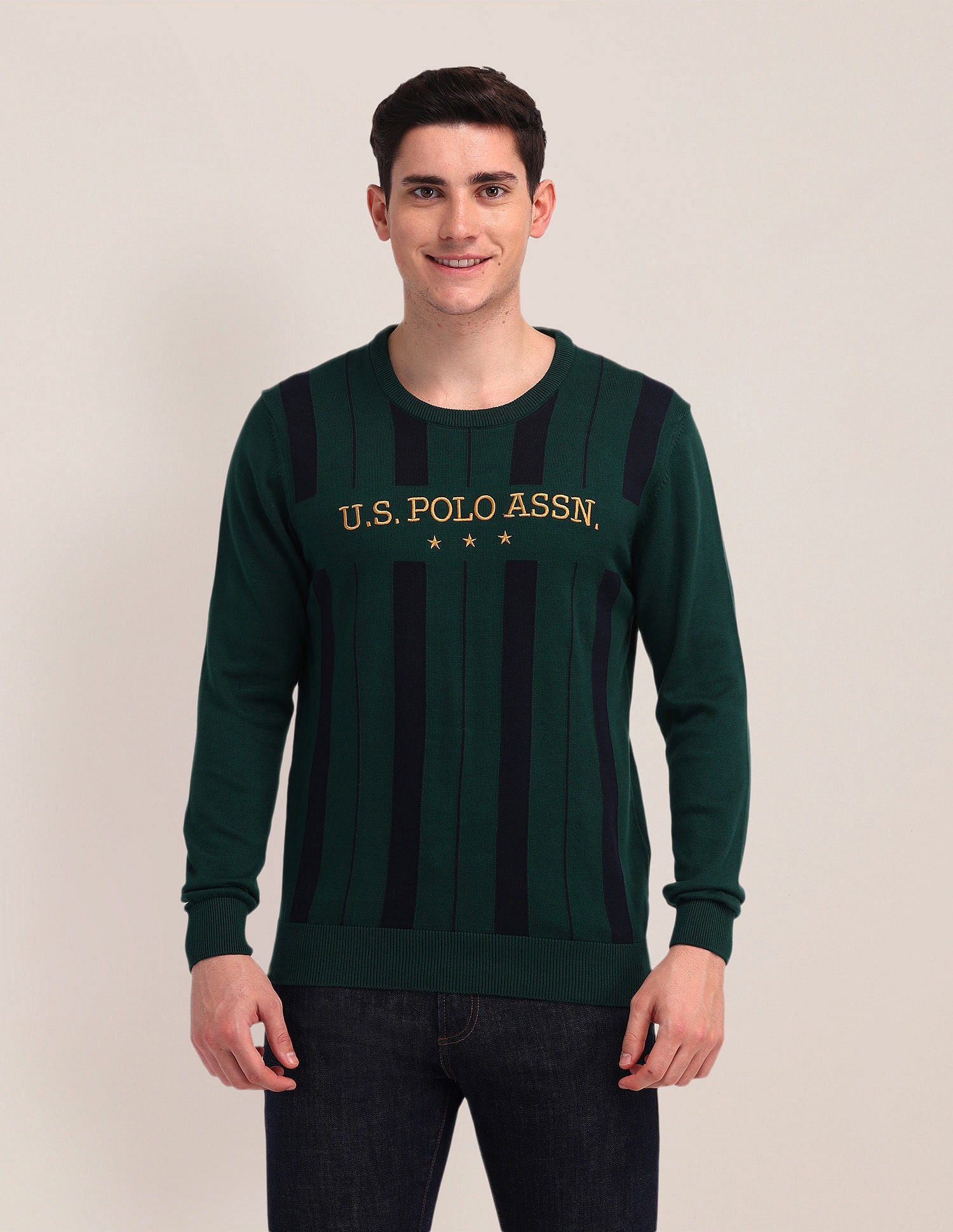 Vertical Striped Embroidered Sweater Olive - U.S. Polo Assn. India | Large