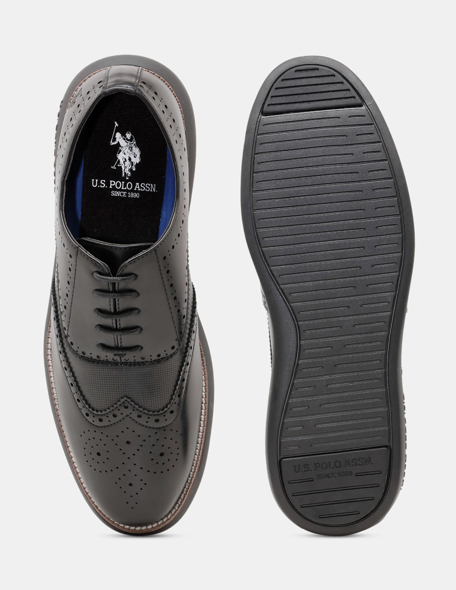 Round Toe Wingtip Marco 2.0 Brogues Black - U.S. Polo Assn. India | Large