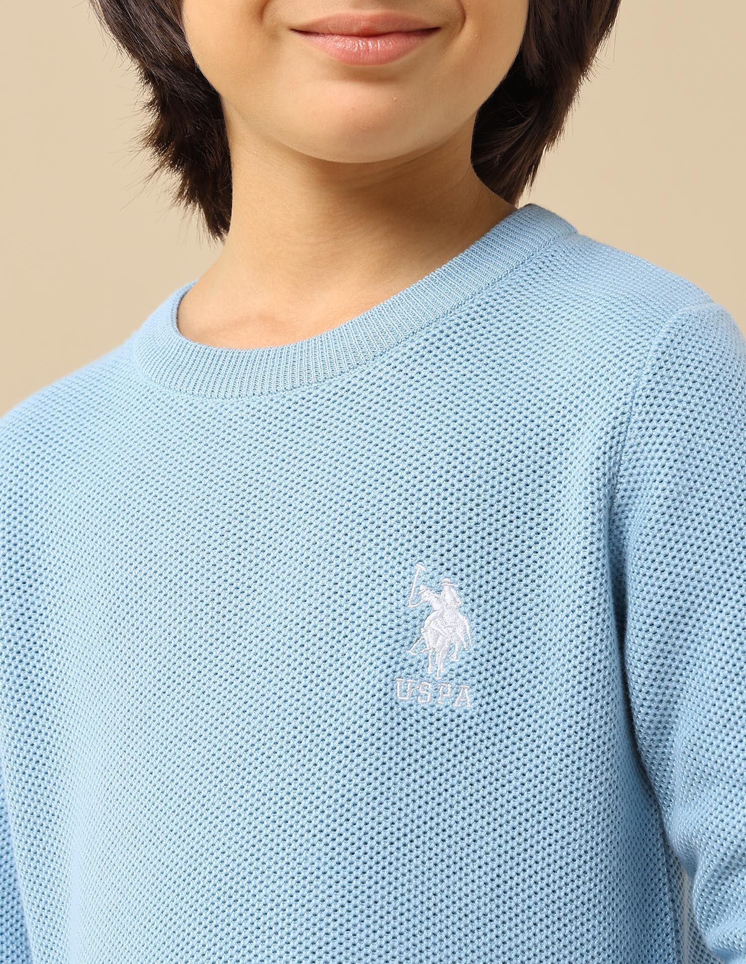 Boys Textured Regular Fit Sweater Light Blue - U.S. POLO ASSN. | Large