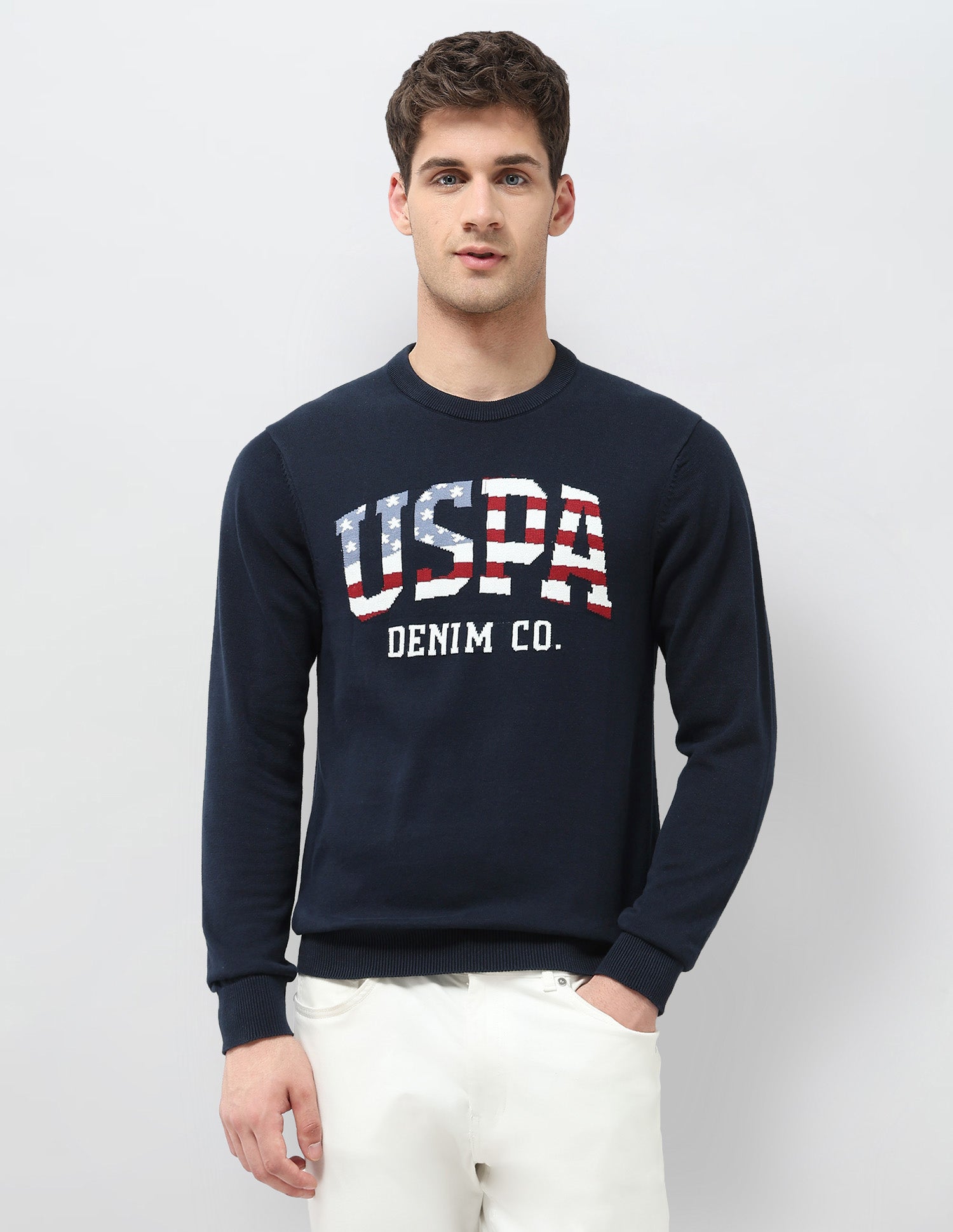 Brand Patterned Knit Regular Fit Sweater Navy - U.S. POLO ASSN. | Large