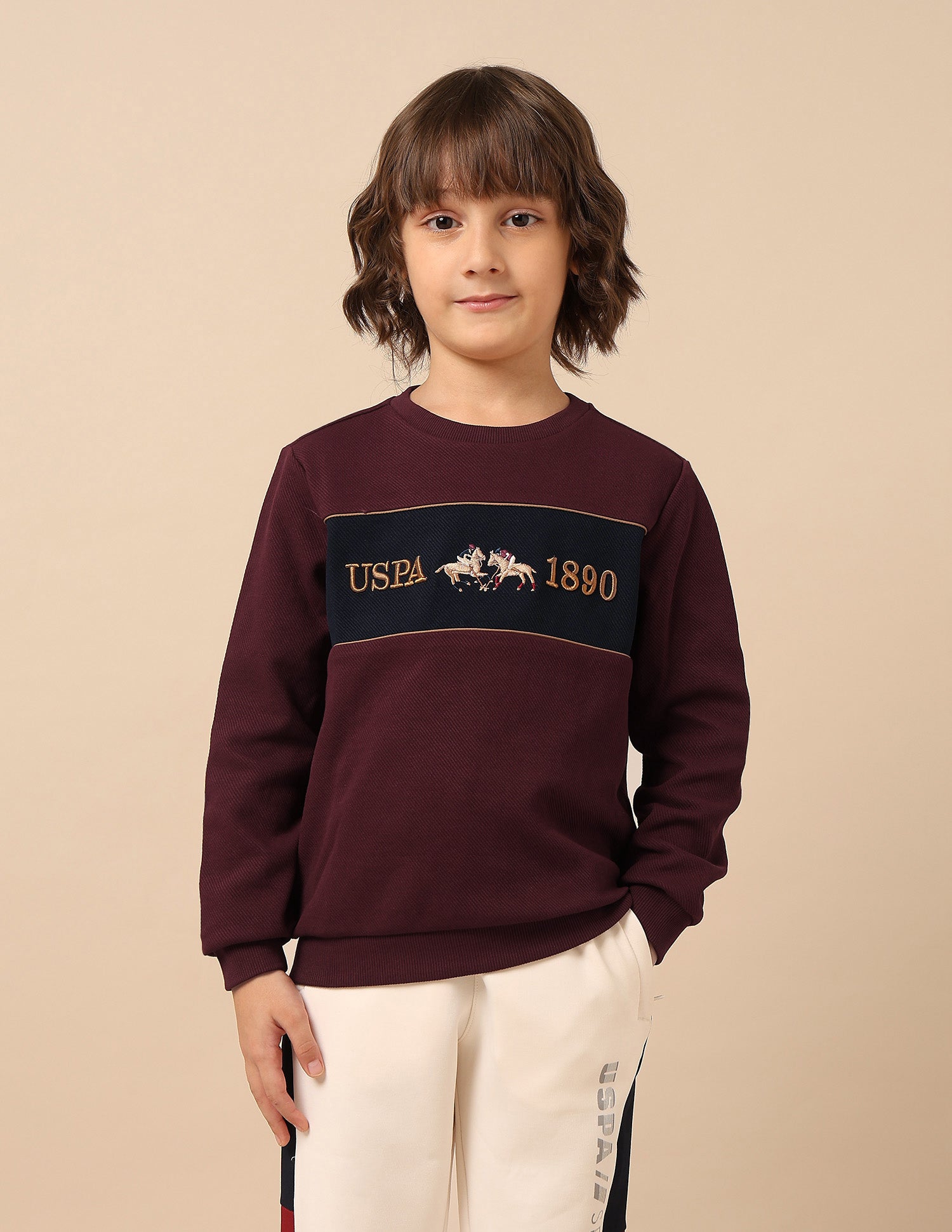 Boys Brand Embroidered Mini Me Sweatshirt Dark Red - U.S. POLO ASSN. | Large