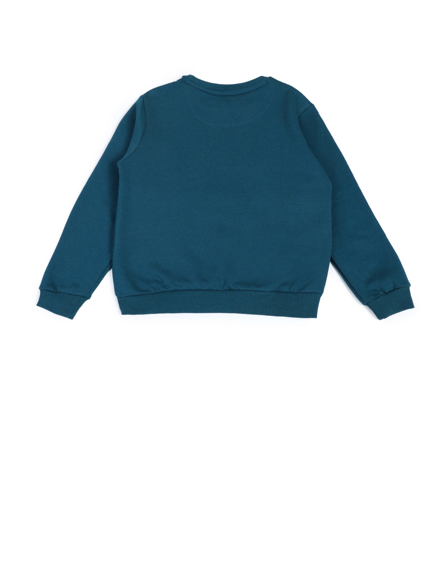 Boys Brand Printed Sweatshirt Teal - U.S. POLO ASSN. | Large