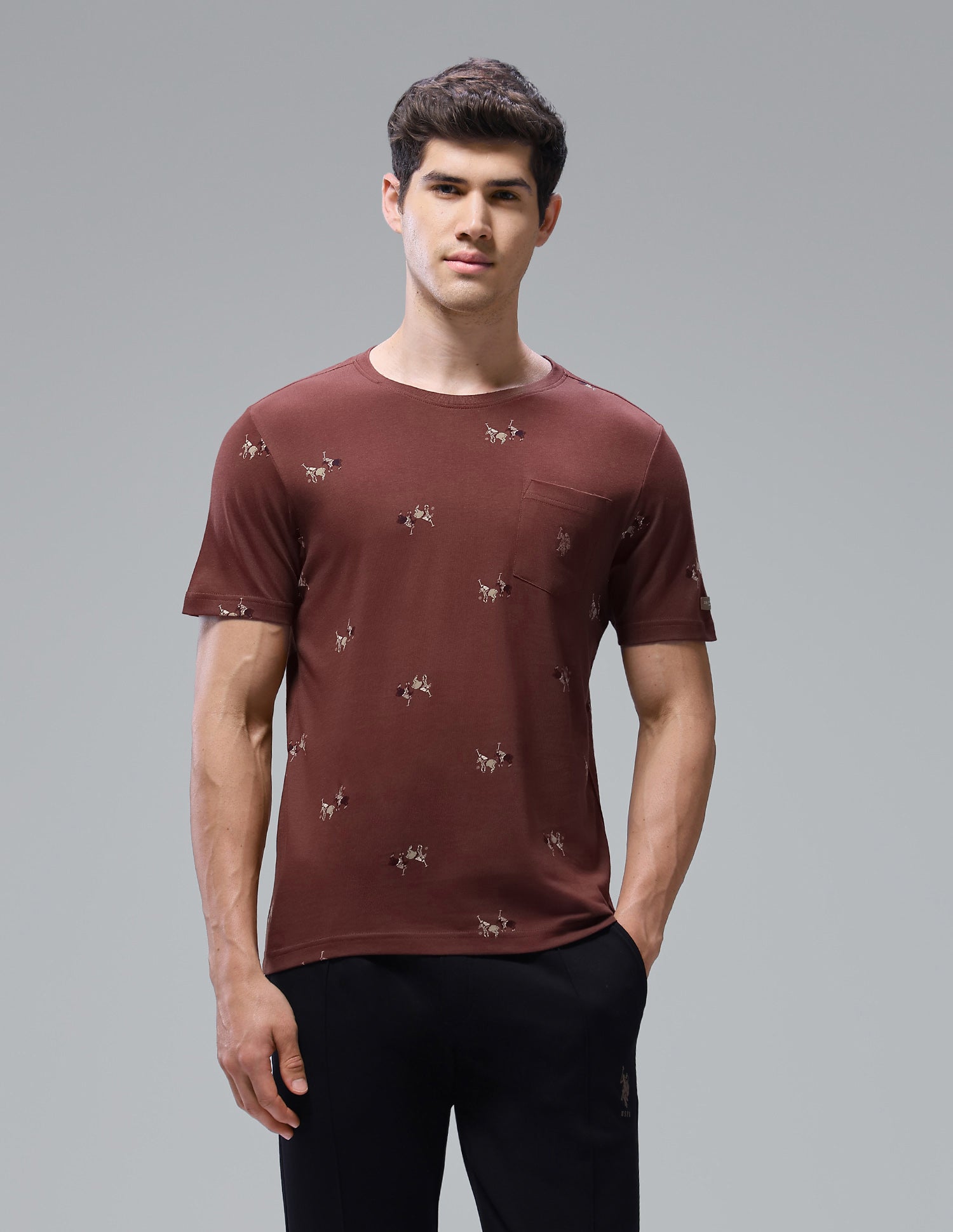 Graphic Brand Printed Regular Fit Loungewear T-Shirt Sable - U.S. Polo Assn. India | Large