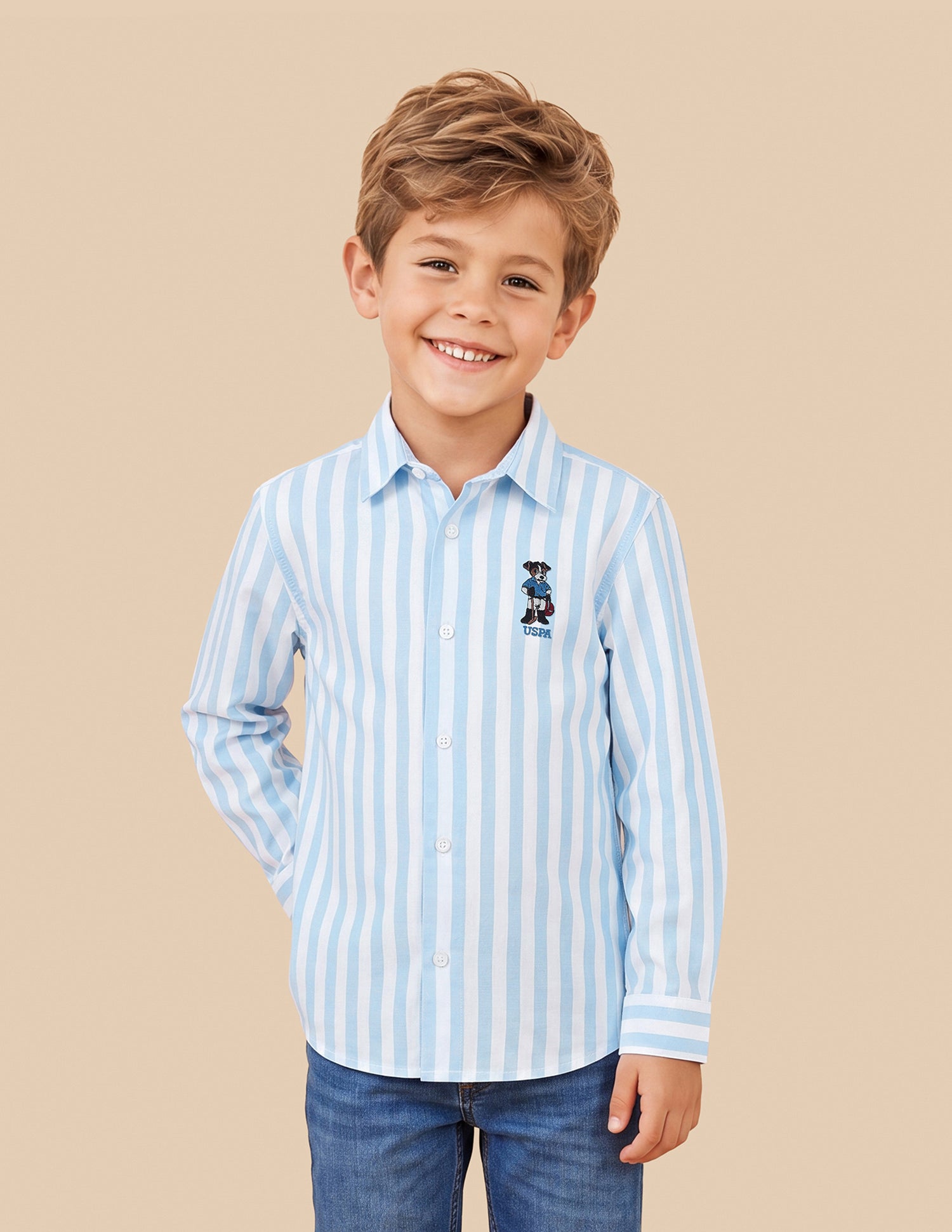 Vertical Striped Oxford Shirt Blue - U.S. Polo Assn. India | Large